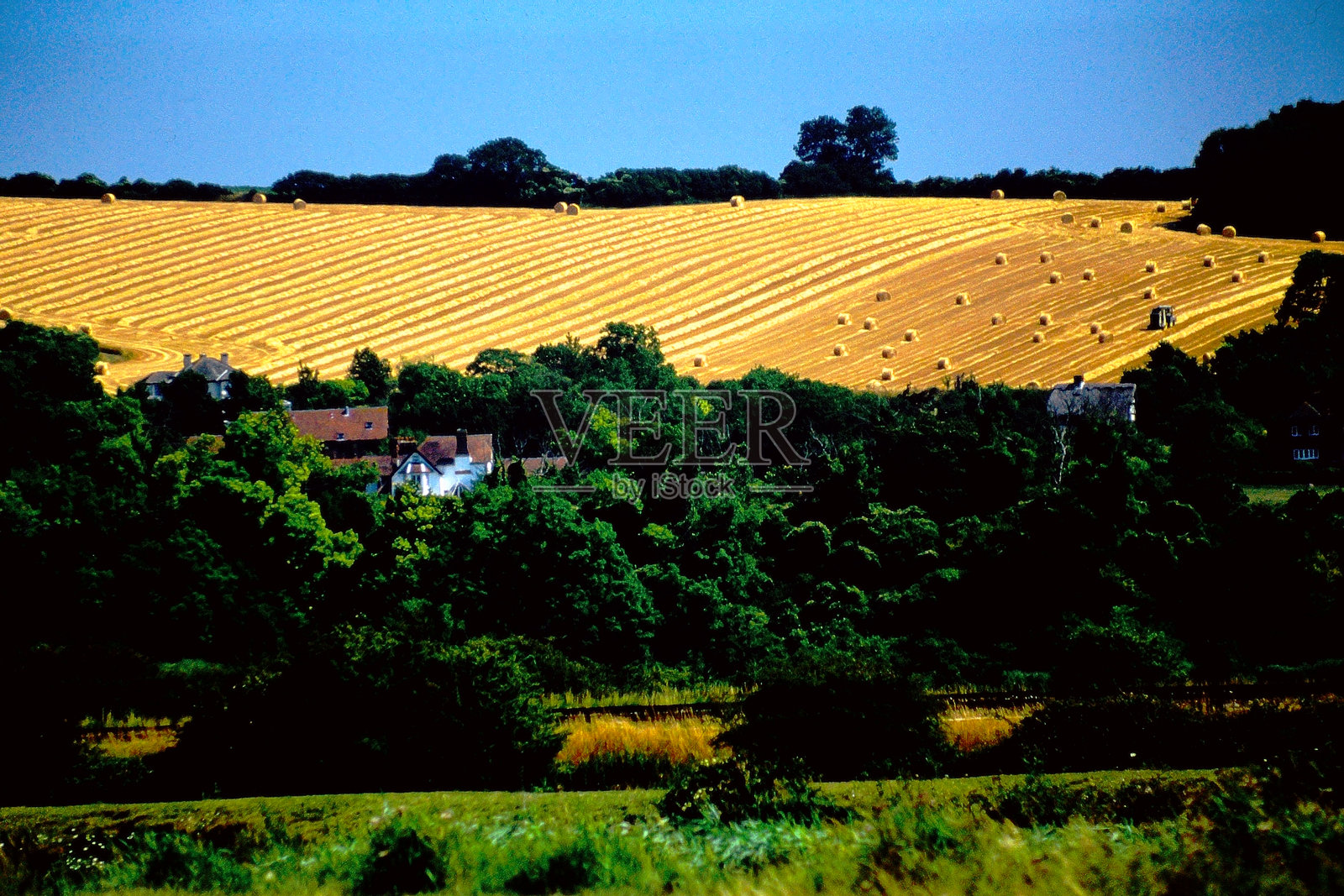 农田照片摄影图片