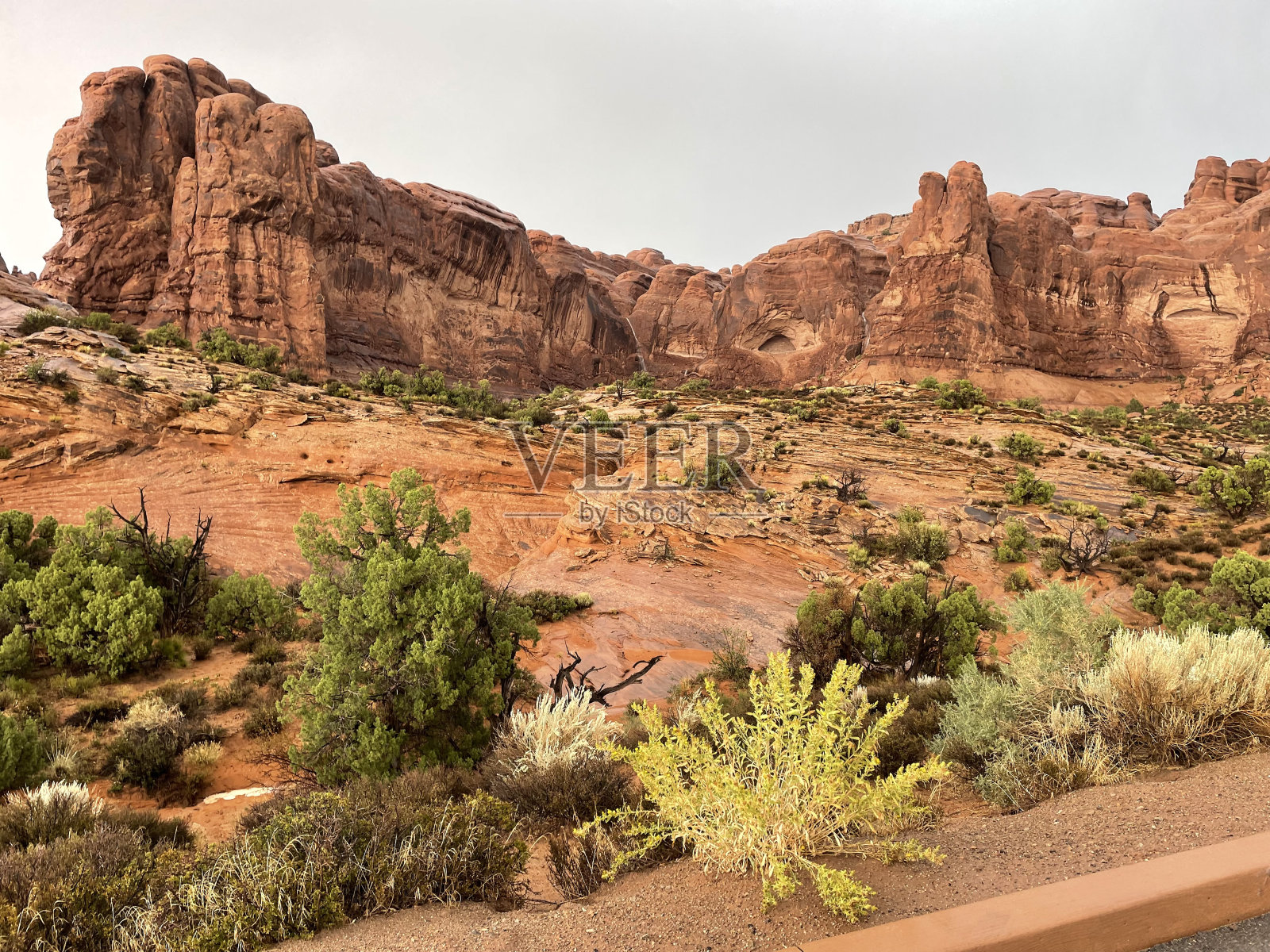 拱门国家公园——红岩砂岩照片摄影图片