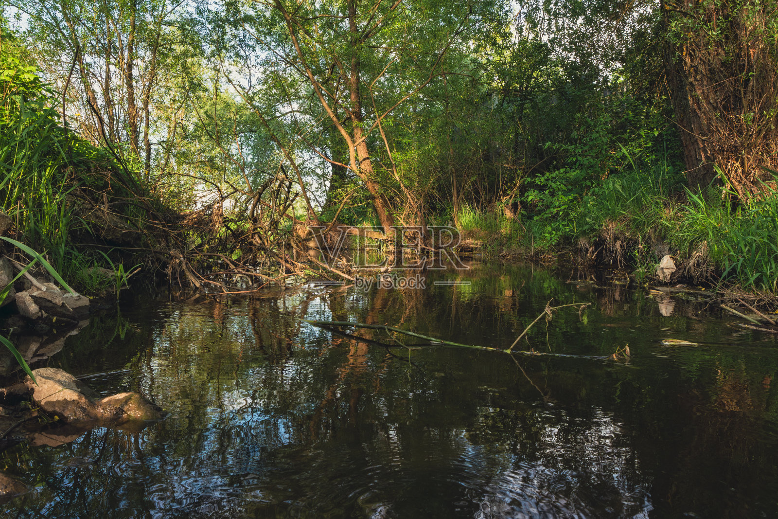 森林里的一条小河照片摄影图片
