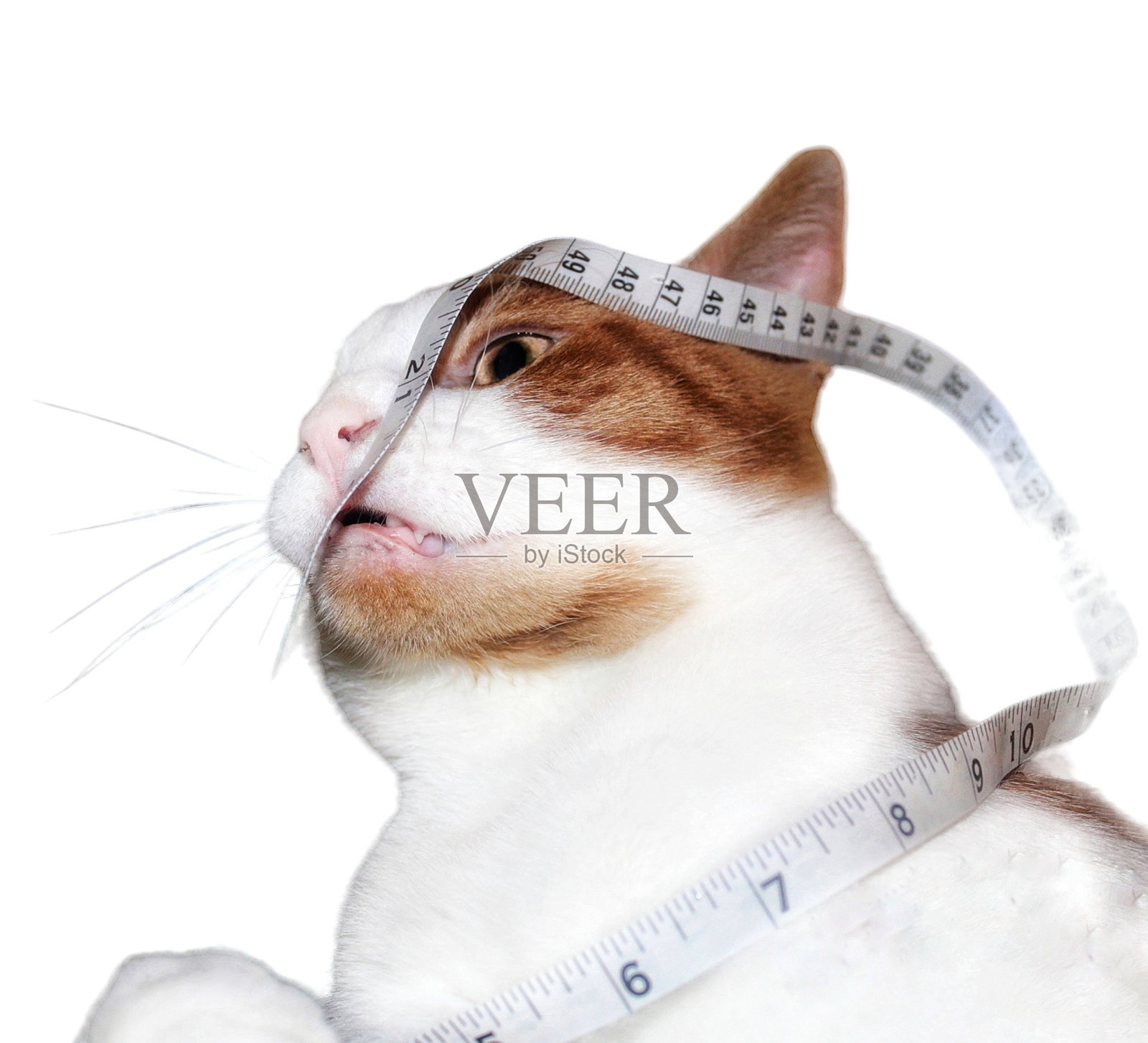 测量照片摄影图片