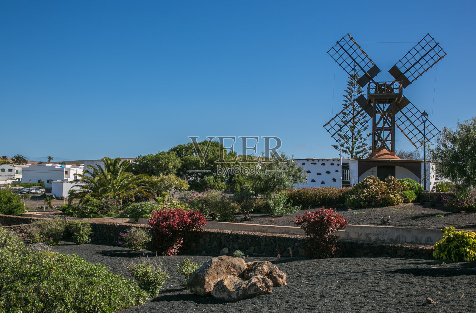 兰萨罗特岛特吉斯的风车照片摄影图片