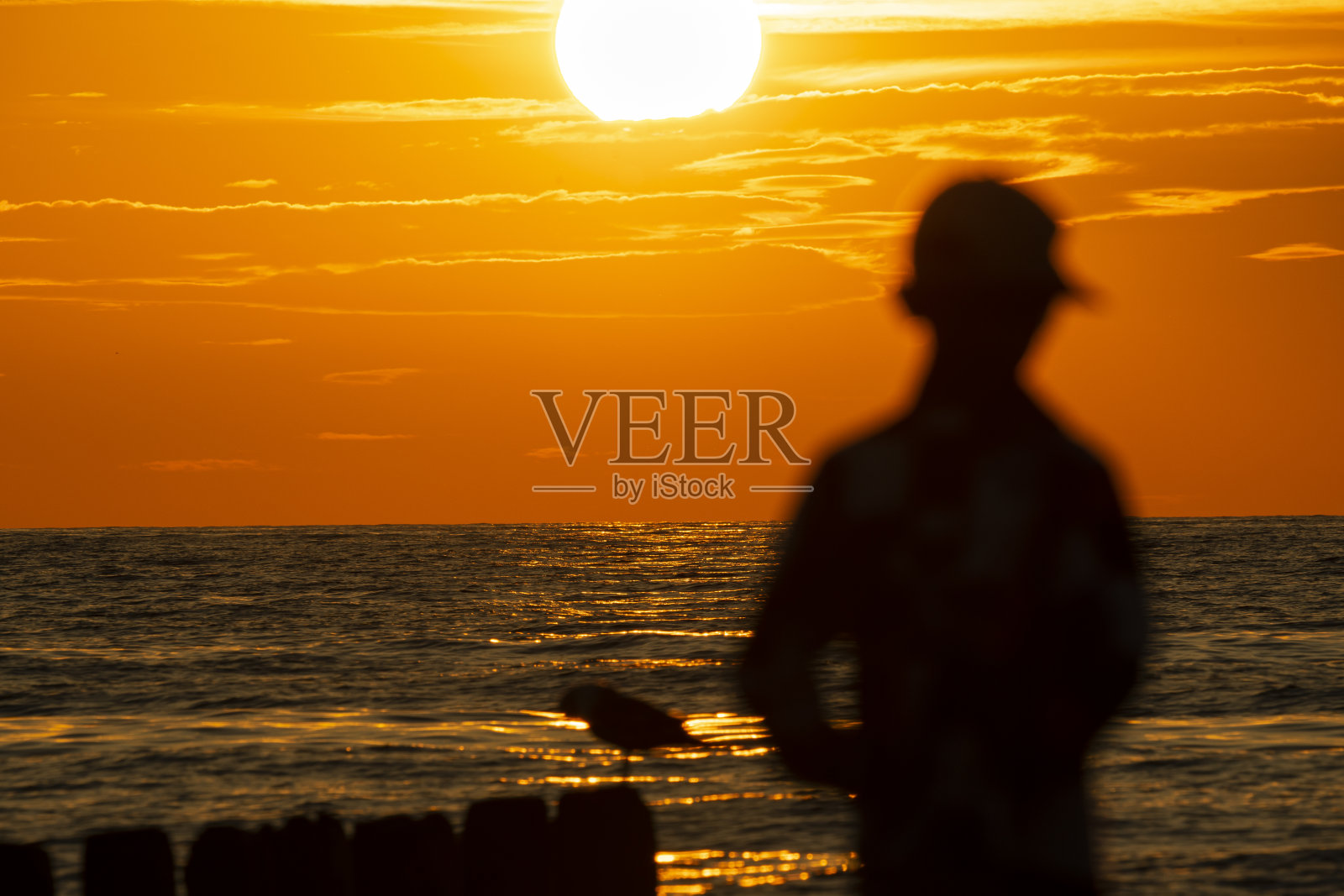 人与海日落。照片摄影图片