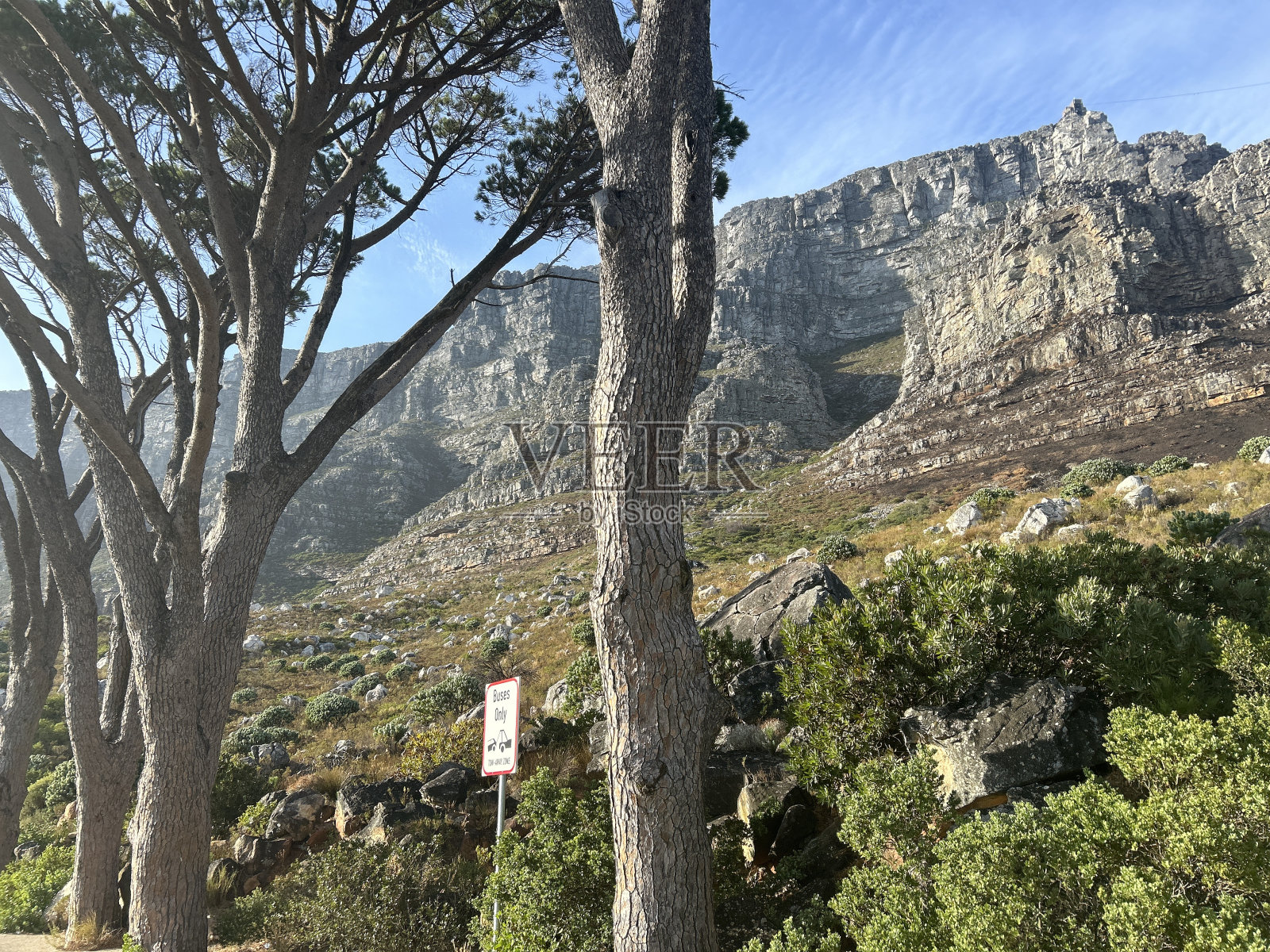 桌山观景照片摄影图片