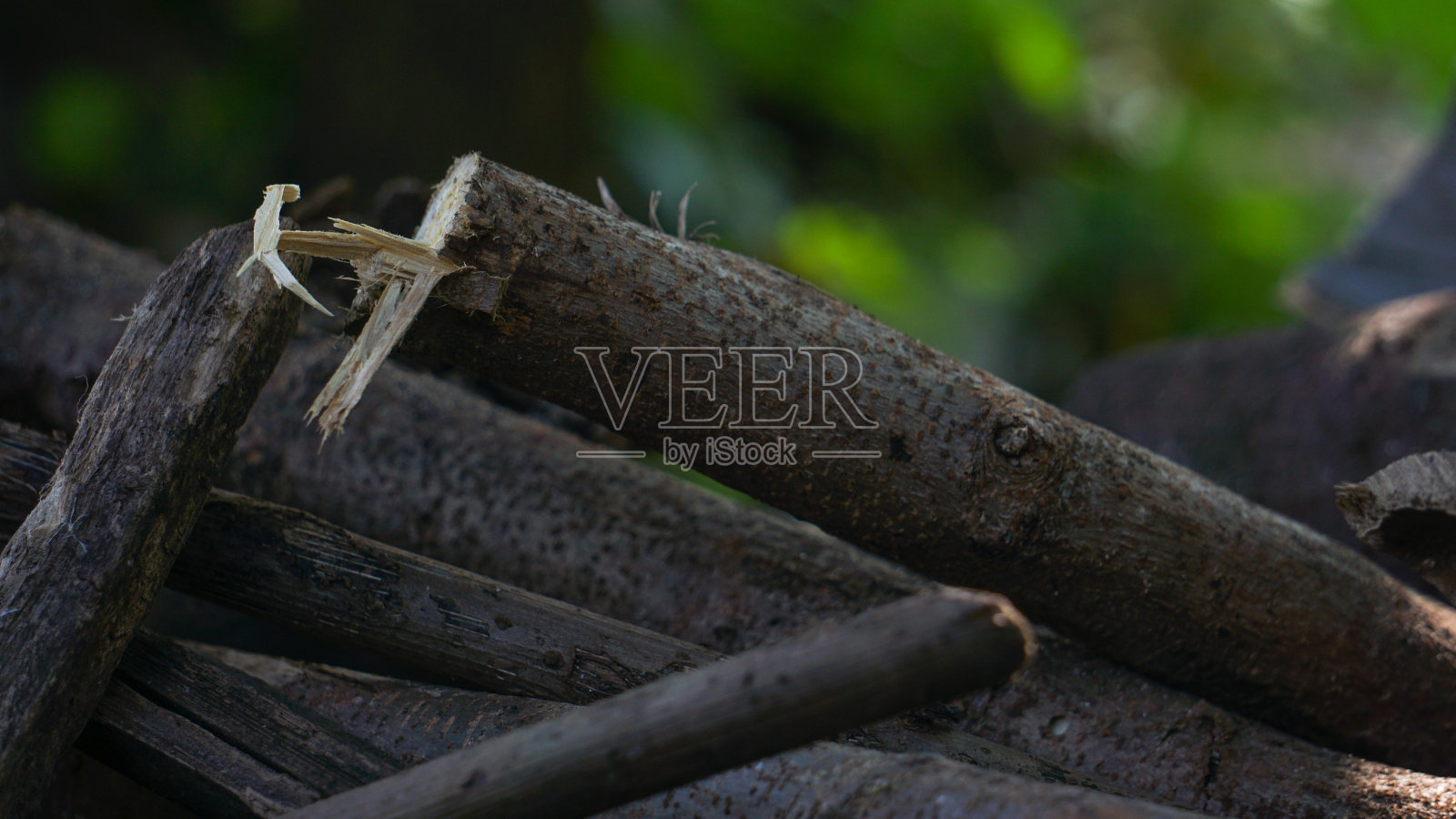 柴火:被砍下来当柴火的一堆木头照片摄影图片