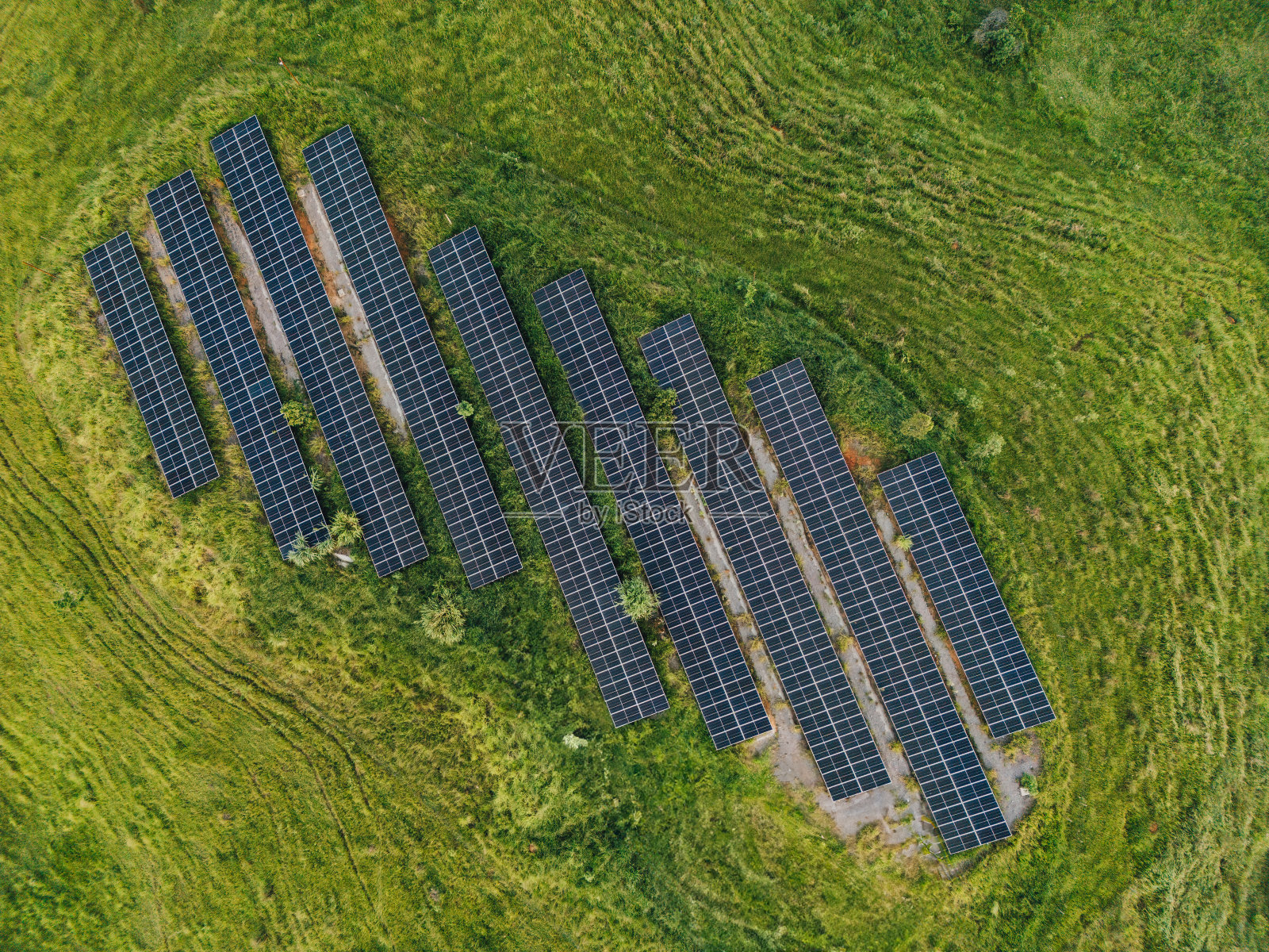 牧场上的太阳能板照片摄影图片