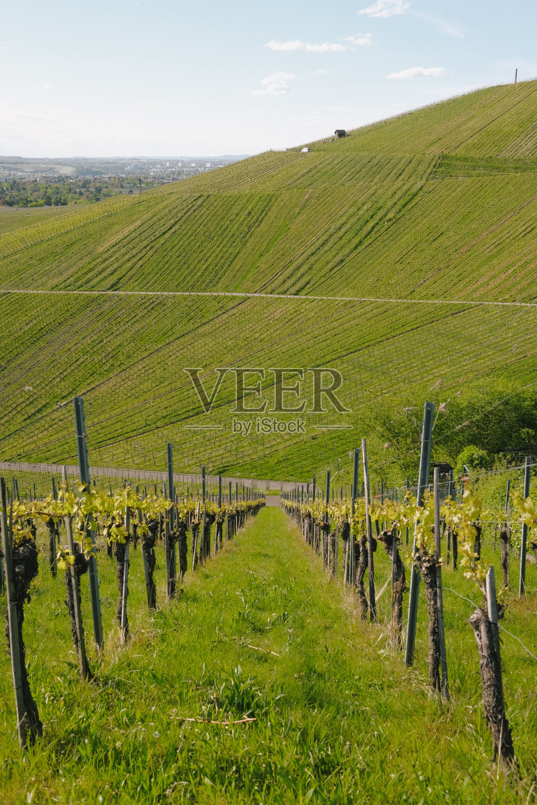 农业景观中空旷的道路照片摄影图片