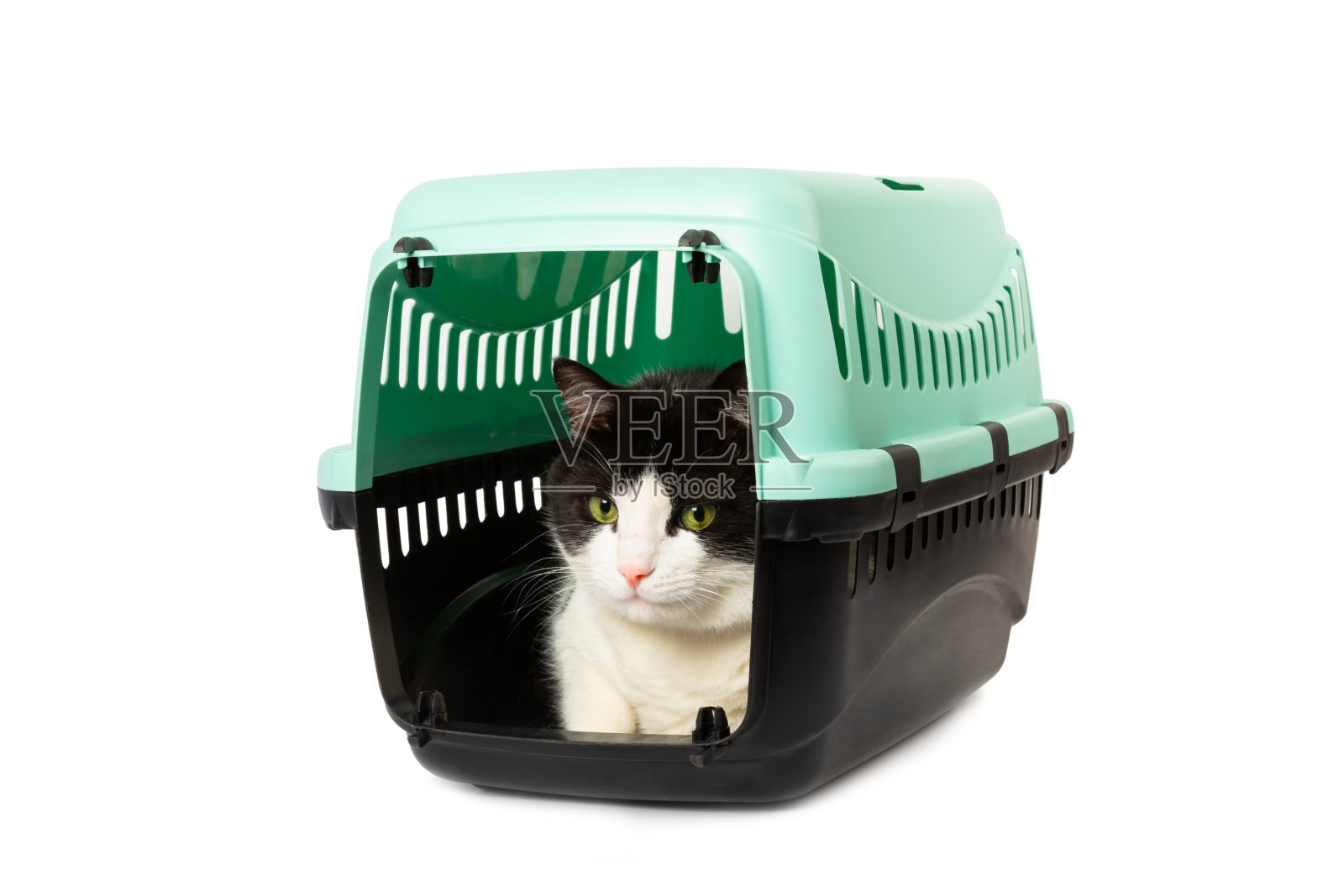 猫在一个载体上孤立的白色背景。猫载体。移动的或旅行的塑料旅行载体。爱护动物理念。照片摄影图片