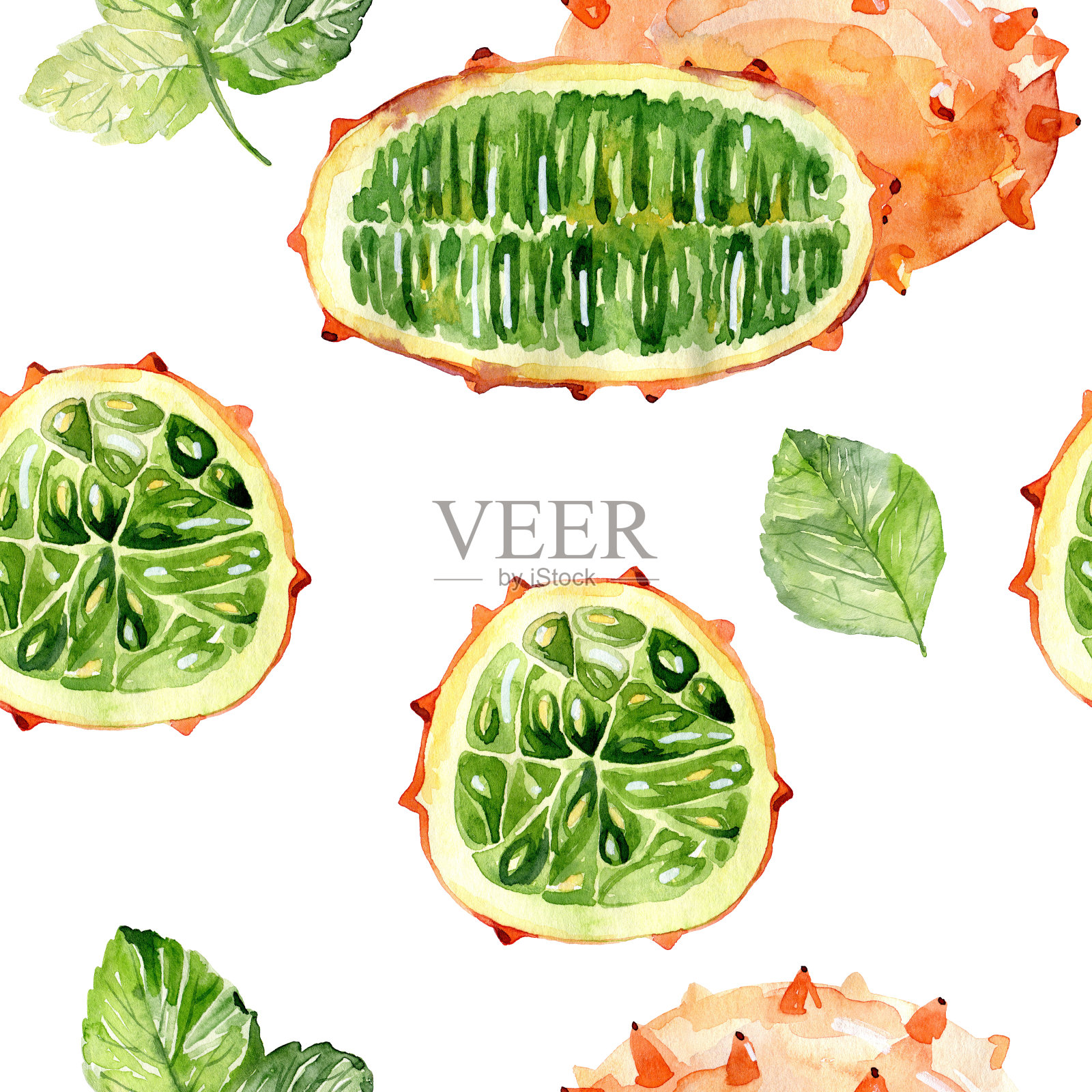 水彩kiwano。插画图片素材