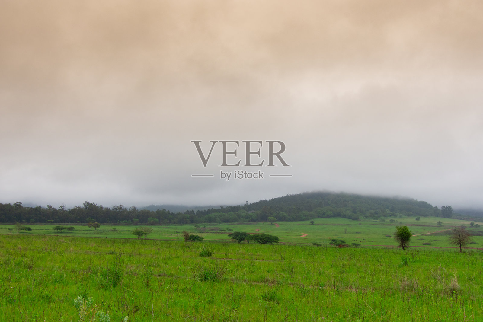 非常漂亮的风景著名的大草原照片摄影图片