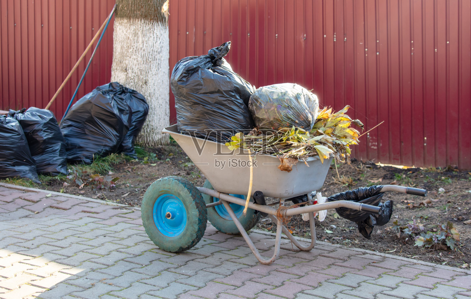 公园里的手推车和垃圾照片摄影图片