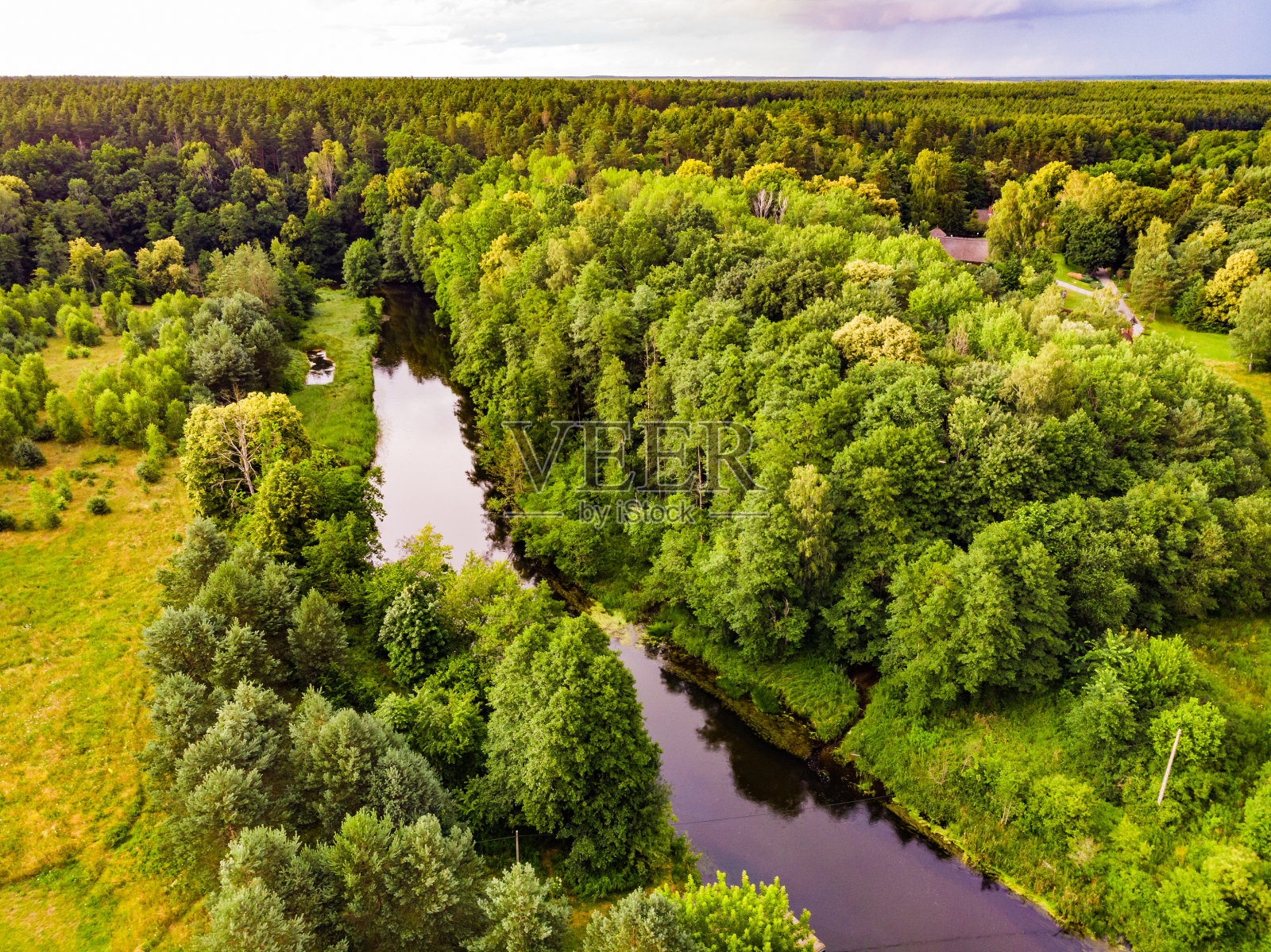 波兰的布尔达河和图霍拉森林。鸟瞰图照片摄影图片
