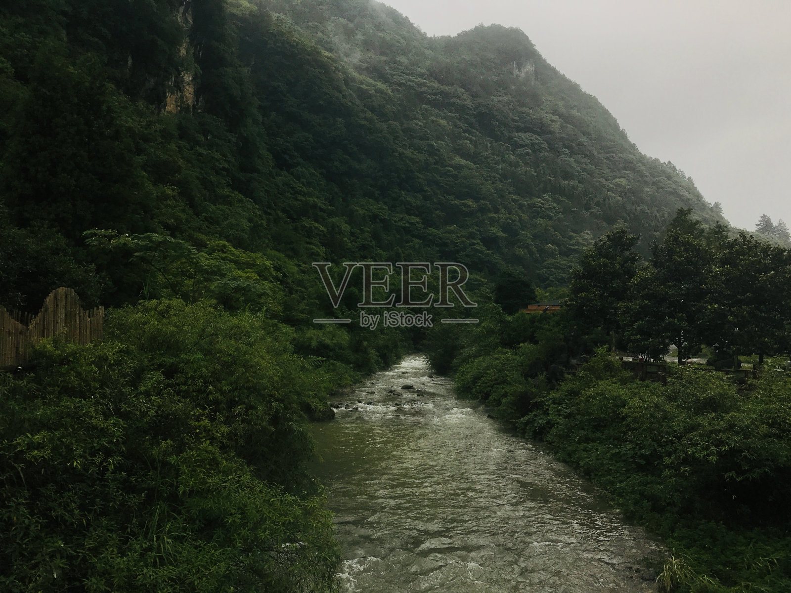 雾蒙蒙的绿色山峰和森林照片摄影图片