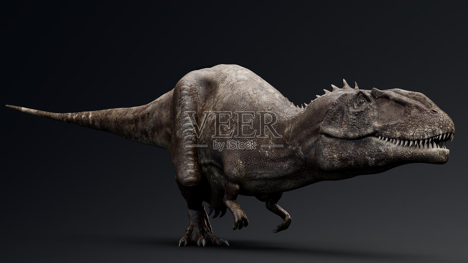 真实感背景模型,3d渲染照片摄影图片