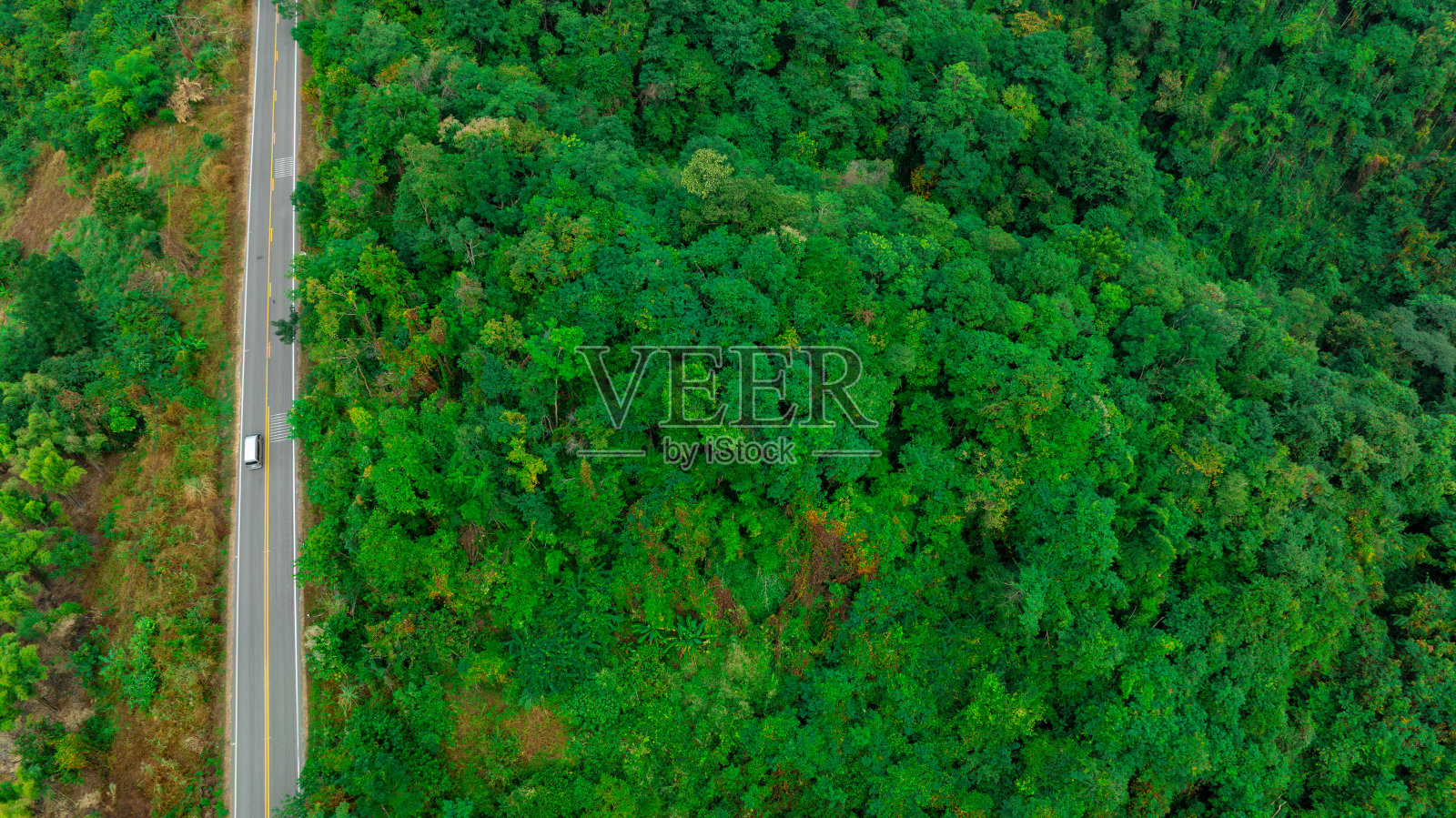 鸟瞰深绿色的森林道路和白色的电动车自然景观和高架道路探险旅行交通和环保理念照片摄影图片