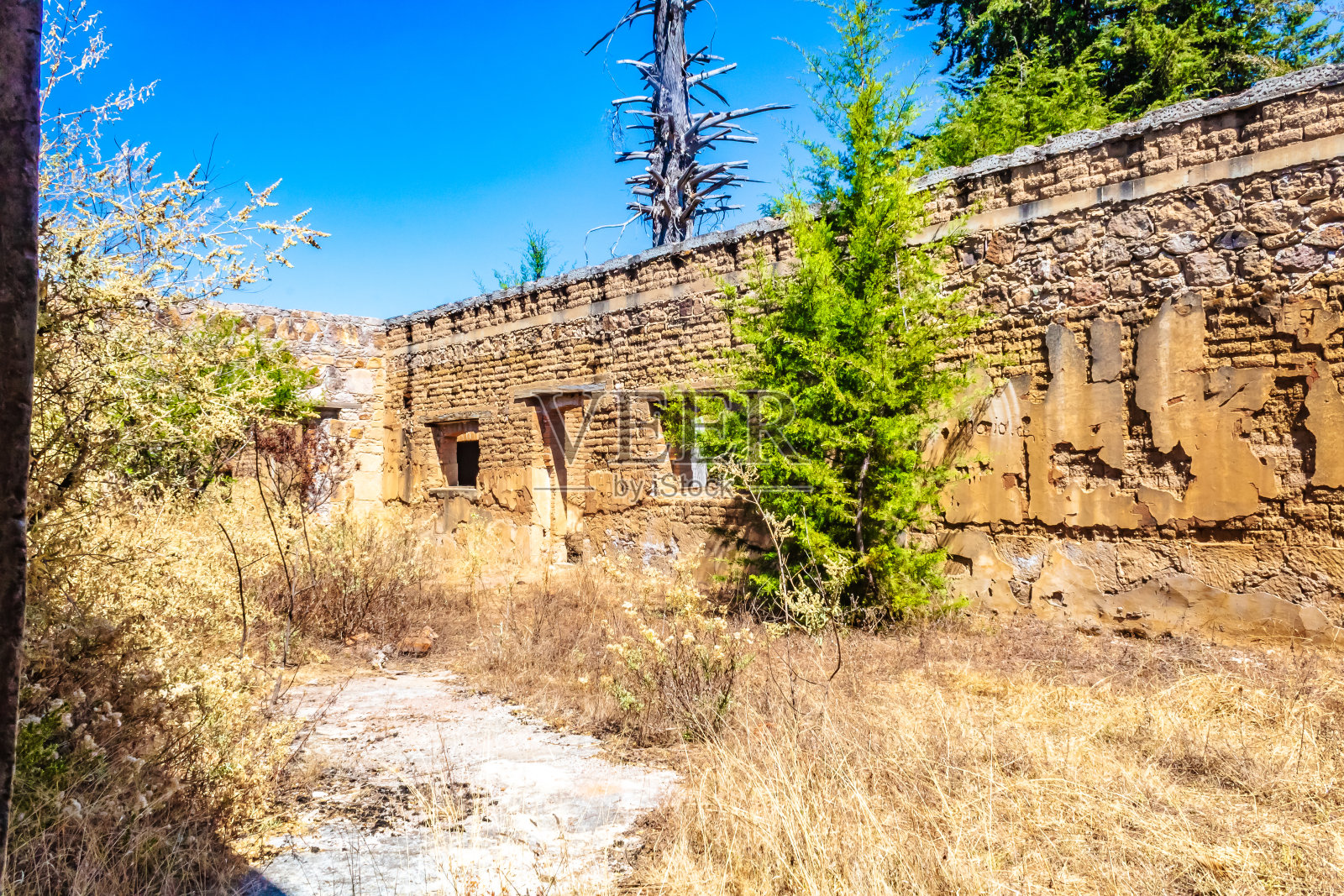 萨卡特卡斯蒙特埃斯科韦多废弃的神学院房屋照片摄影图片