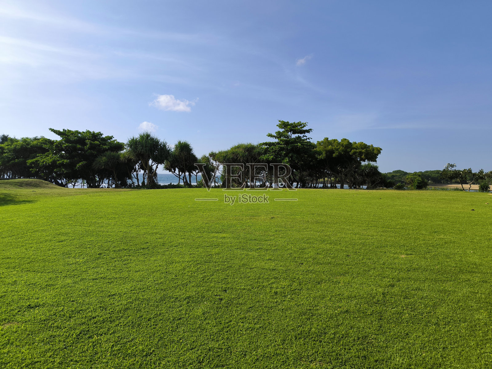 海滩附近的绿地照片摄影图片