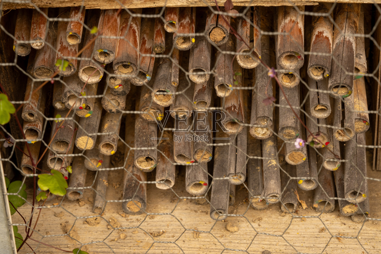昆虫旅馆,为众多昆虫筑巢的地方,旨在为昆虫提供庇护,以防止它们灭绝照片摄影图片