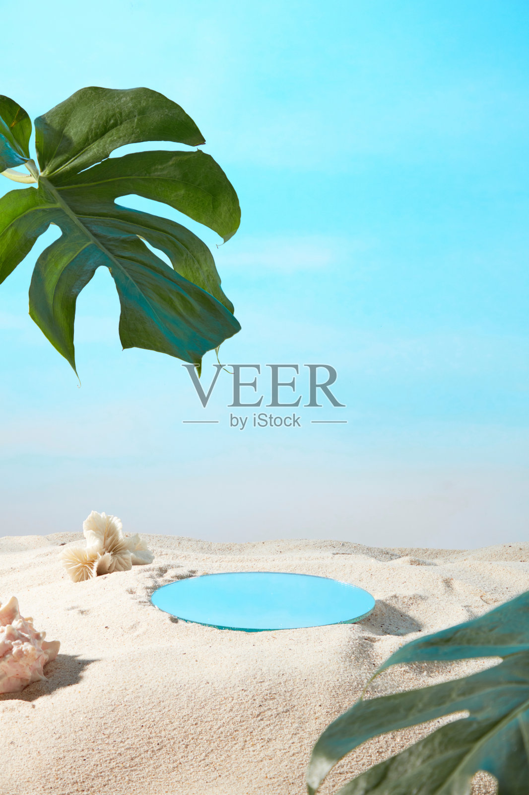 从正面看,夏天的自然概念是浅蓝色的背景,沙滩上的圆形展示舞台用于展示产品,装饰着一些白色珊瑚和绿色的热带树叶照片摄影图片
