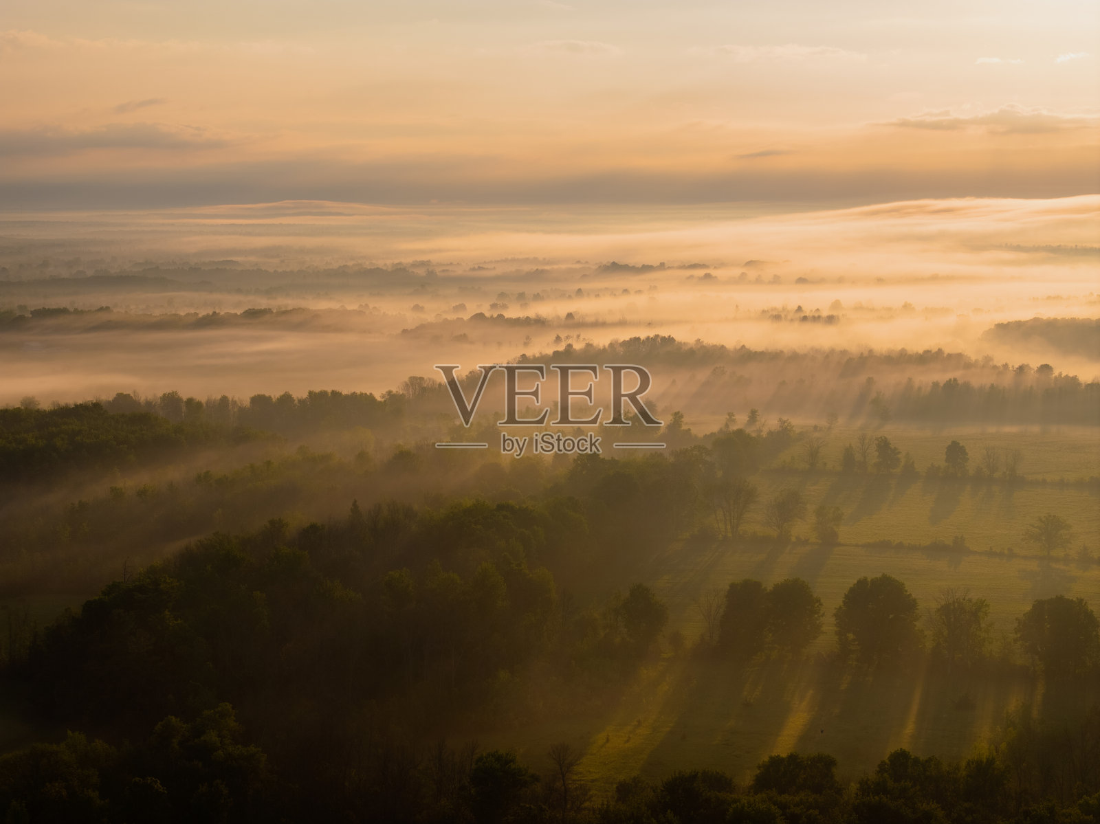 安大略省诺森伯兰郡的赖斯湖附近形成晨雾。照片摄影图片