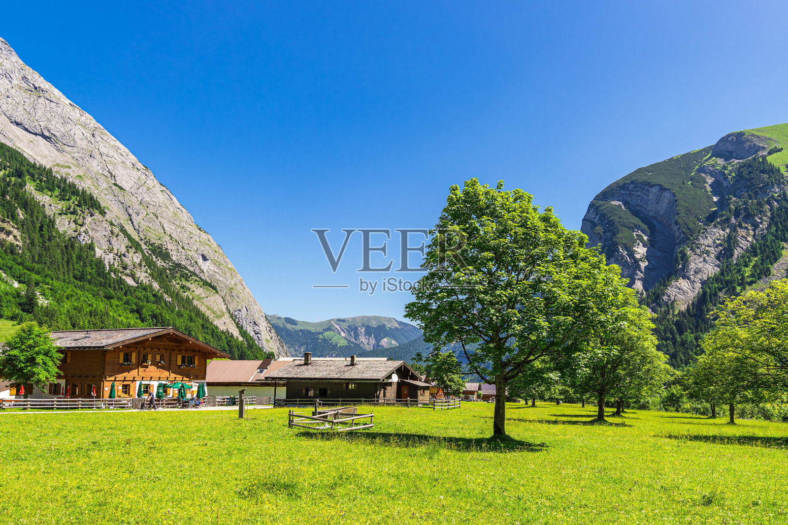 奥地利里斯塔尔山谷的阿尔卑斯牧场照片摄影图片