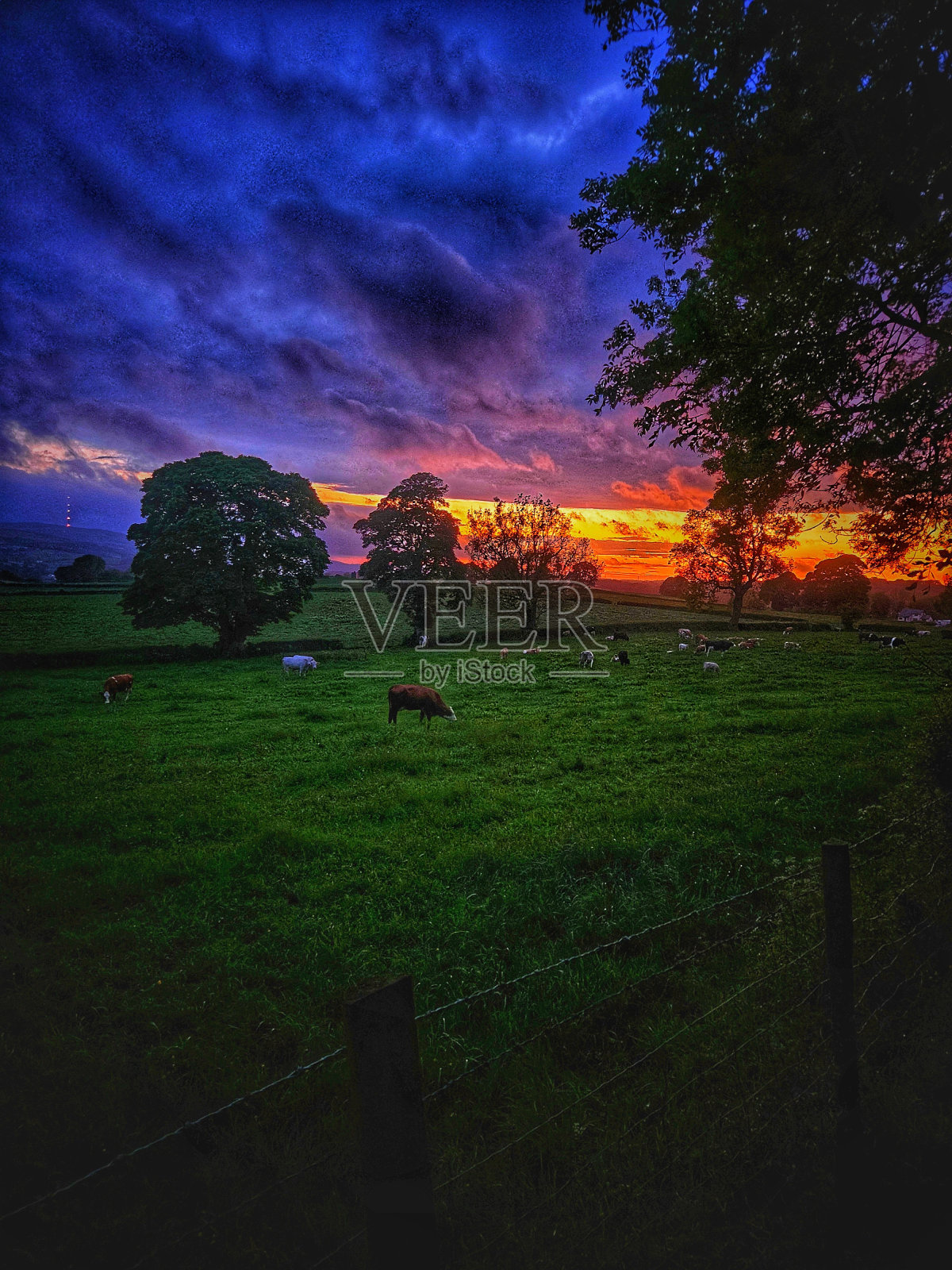 紫色和橙色的日落照片摄影图片