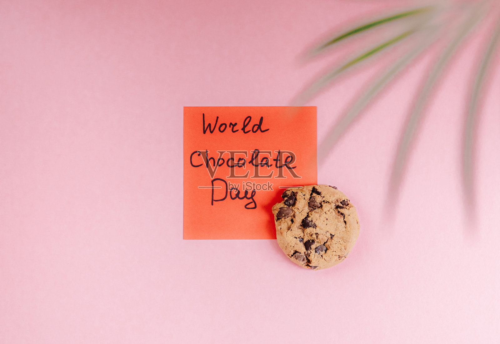 巧克力饼干,上面写着“世界巧克力日”。照片摄影图片