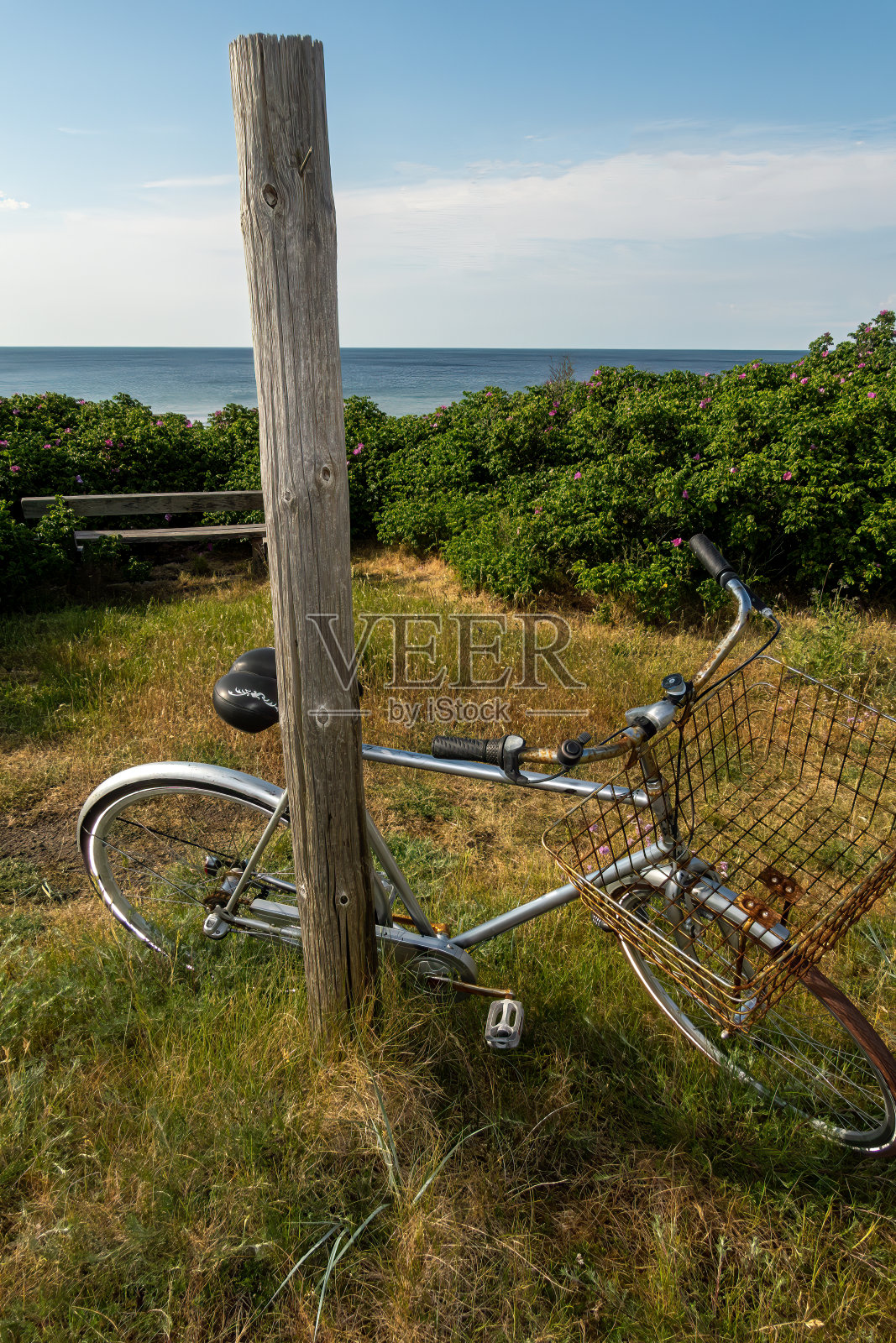 Tisvilde、丹麦照片摄影图片