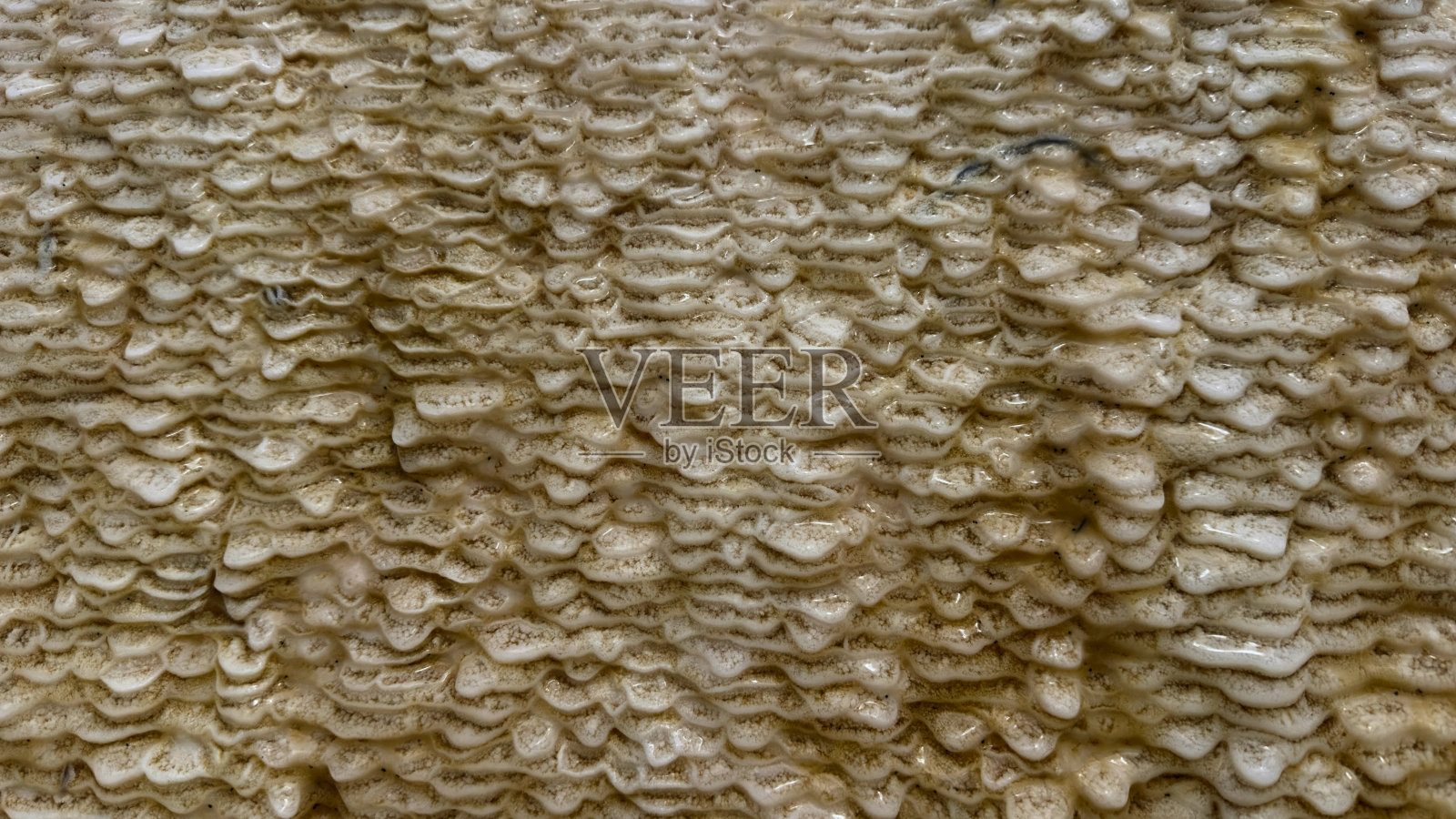 Baskale的石灰华,巨大的梯田温泉照片摄影图片