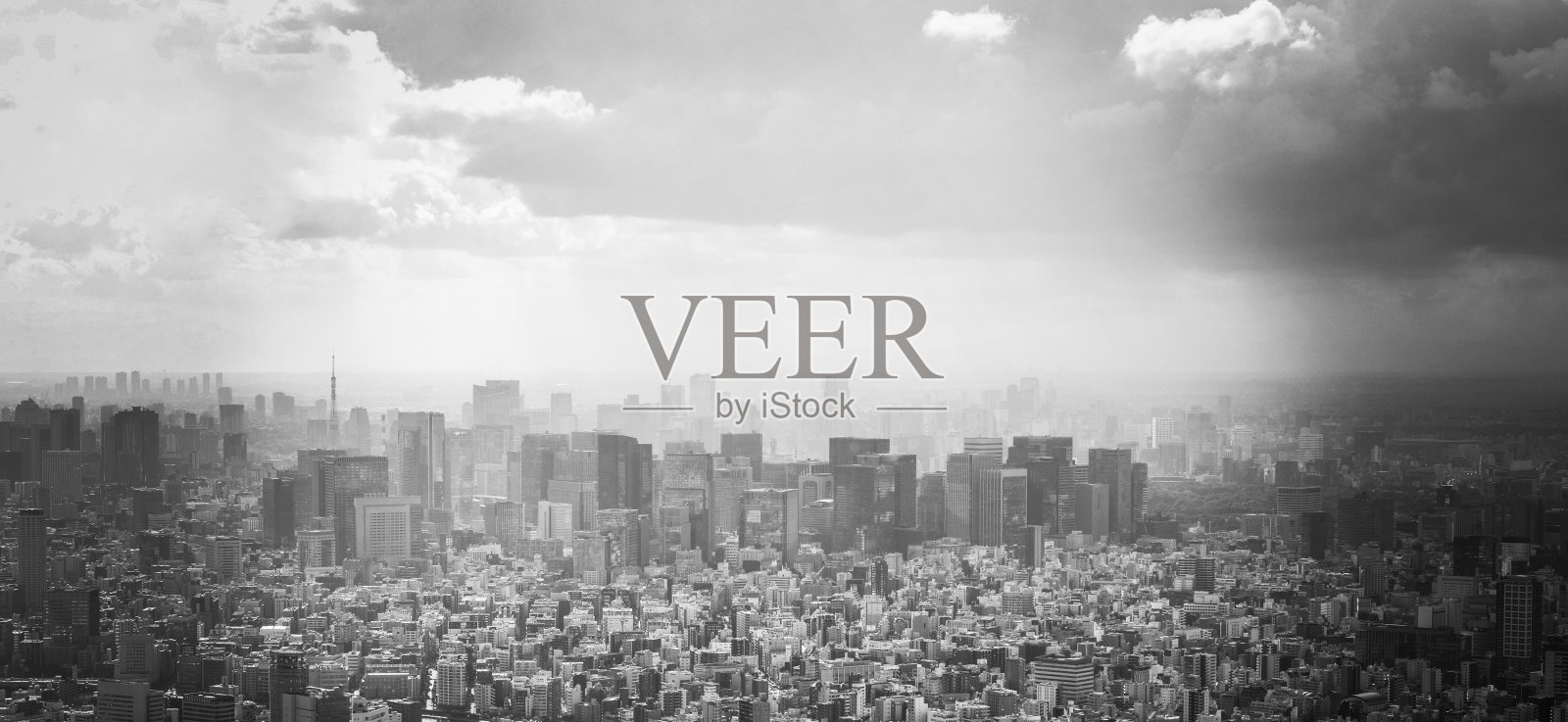 东京市容鸟瞰图。照片摄影图片