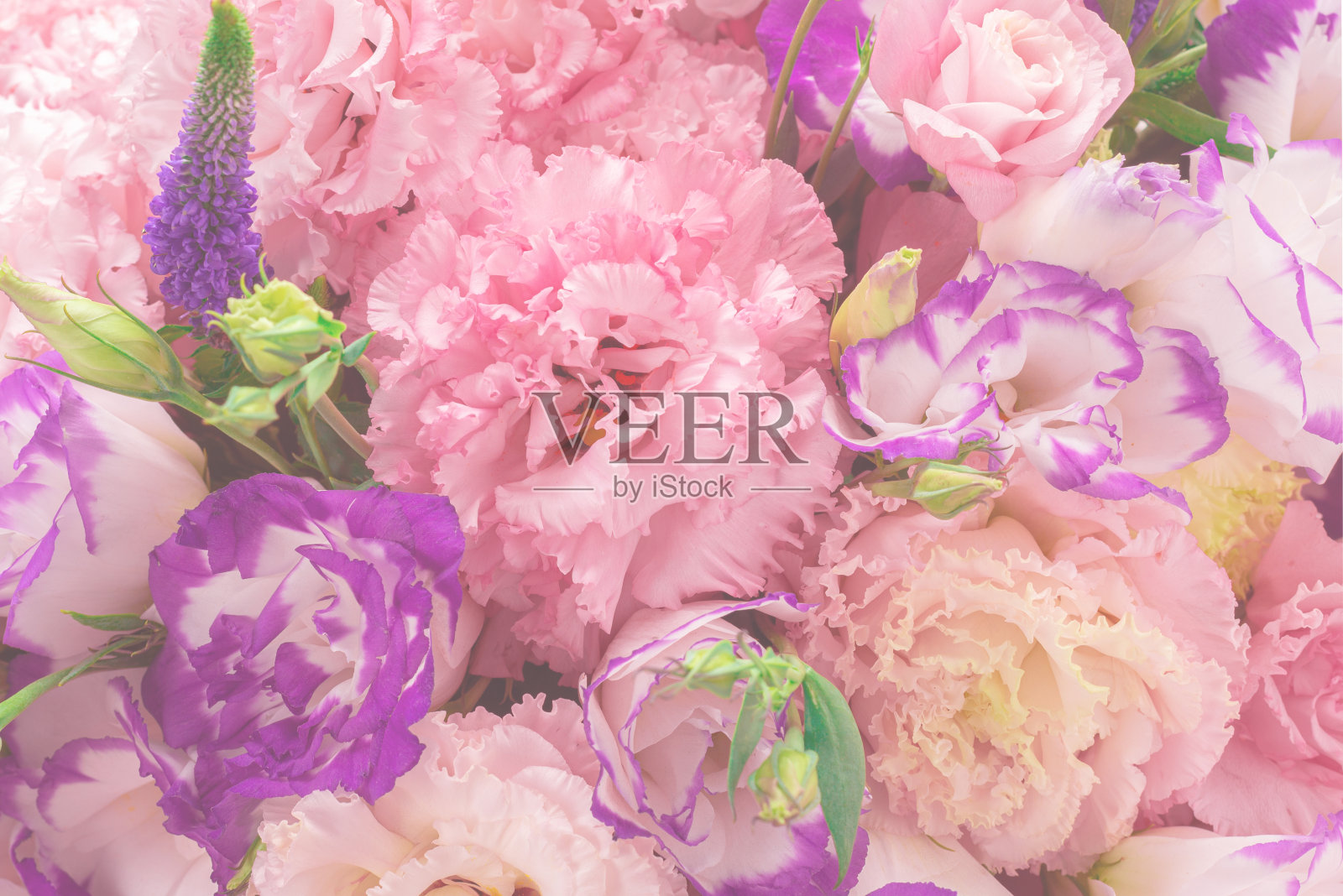 粉红色和紫色的花束在一个粉红色的盒子孤立在白色。照片摄影图片