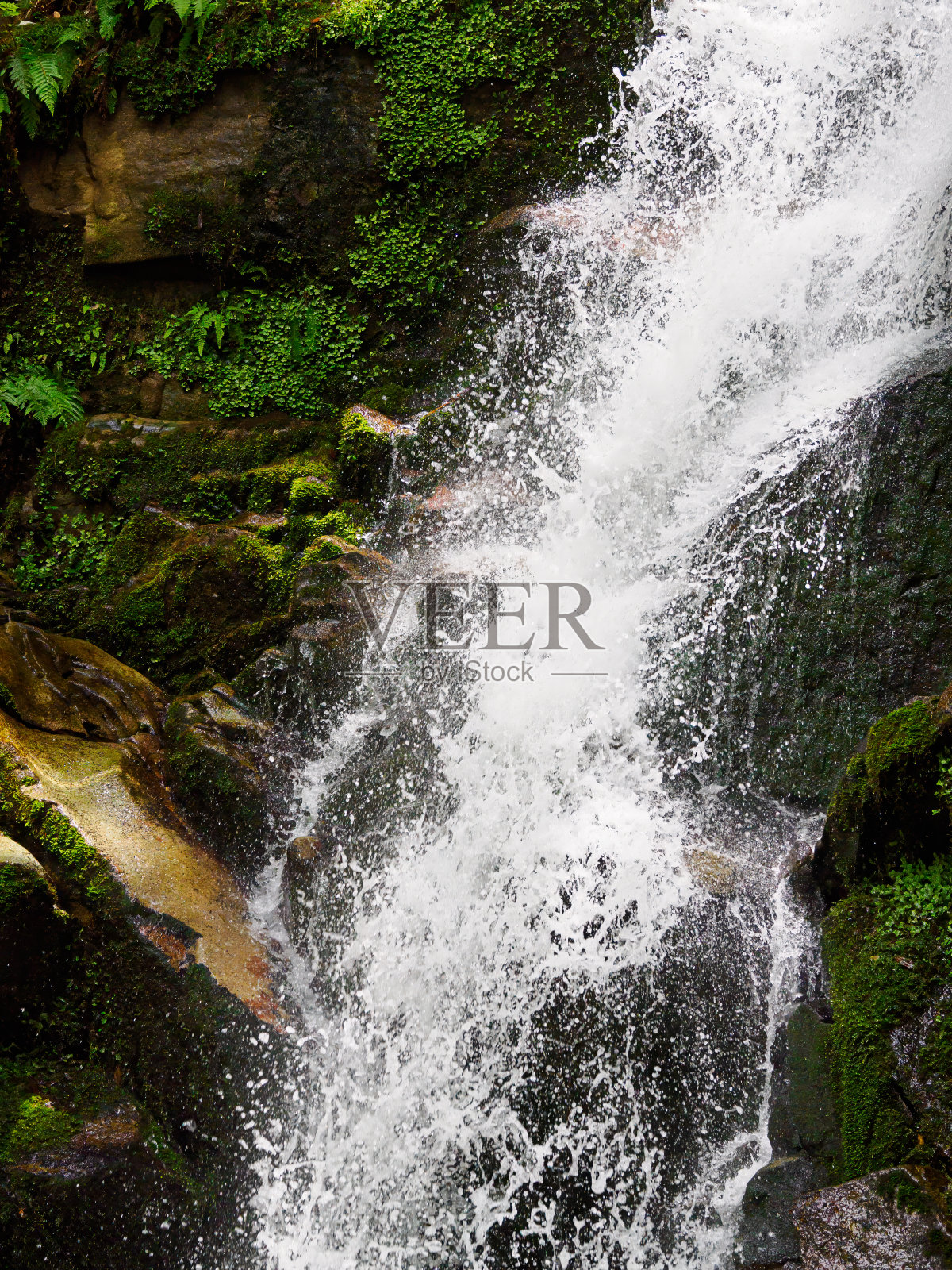 小瀑布,小溪流照片摄影图片