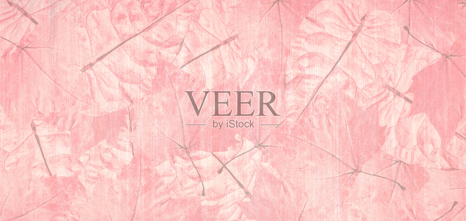 粉红色的墙壁装饰着白色的花卉图案照片摄影图片