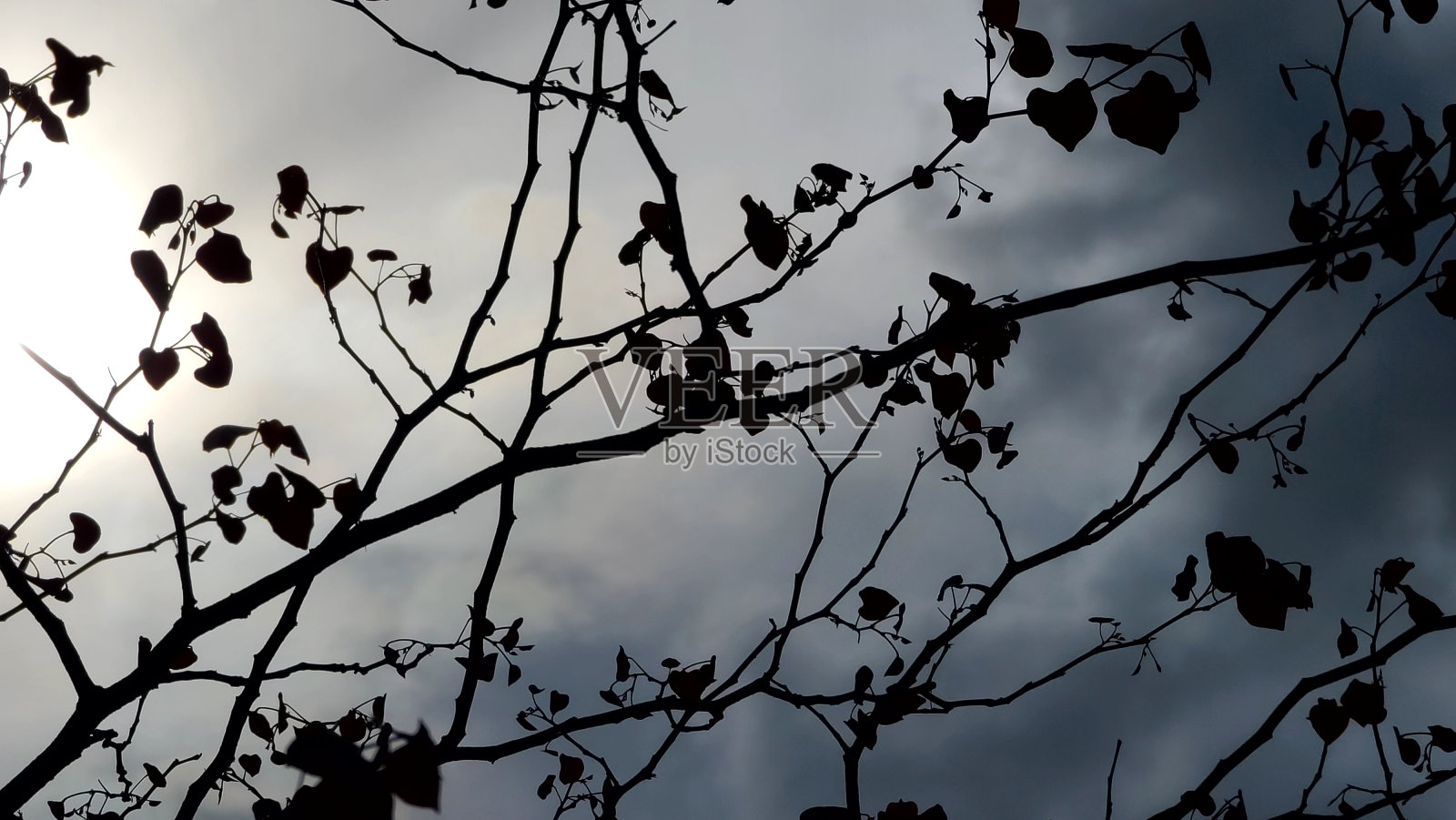 我的天气照片摄影图片