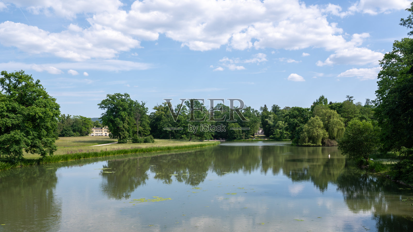 公园里的一个湖照片摄影图片