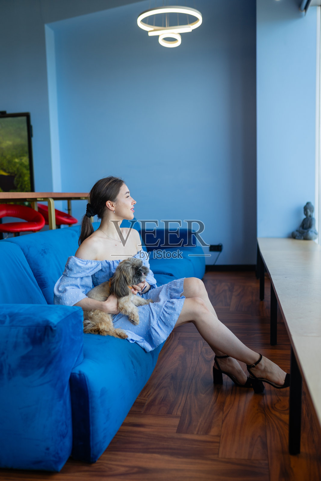 女人和西施坐在沙发上,望着窗外照片摄影图片