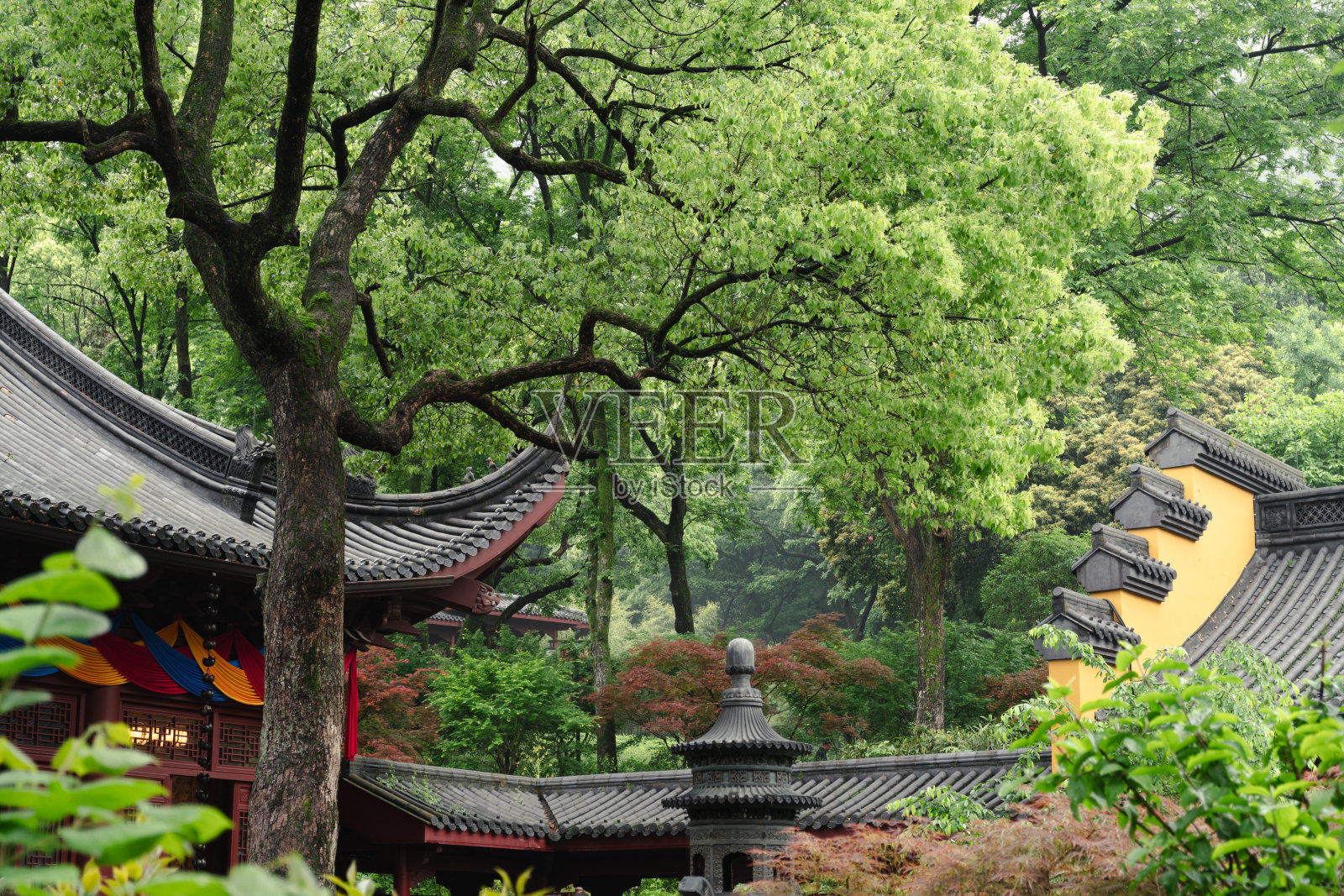 中国杭州的永福寺和绿林照片摄影图片
