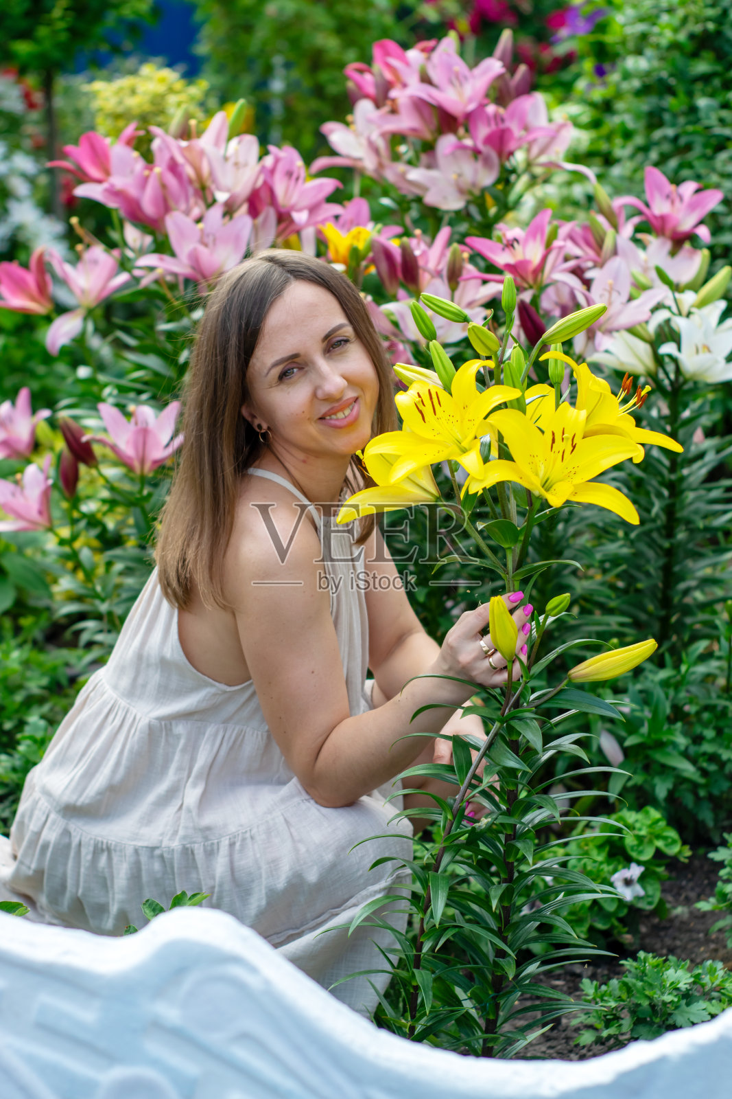 一个女人在花园里欣赏美丽的百合花。照片摄影图片