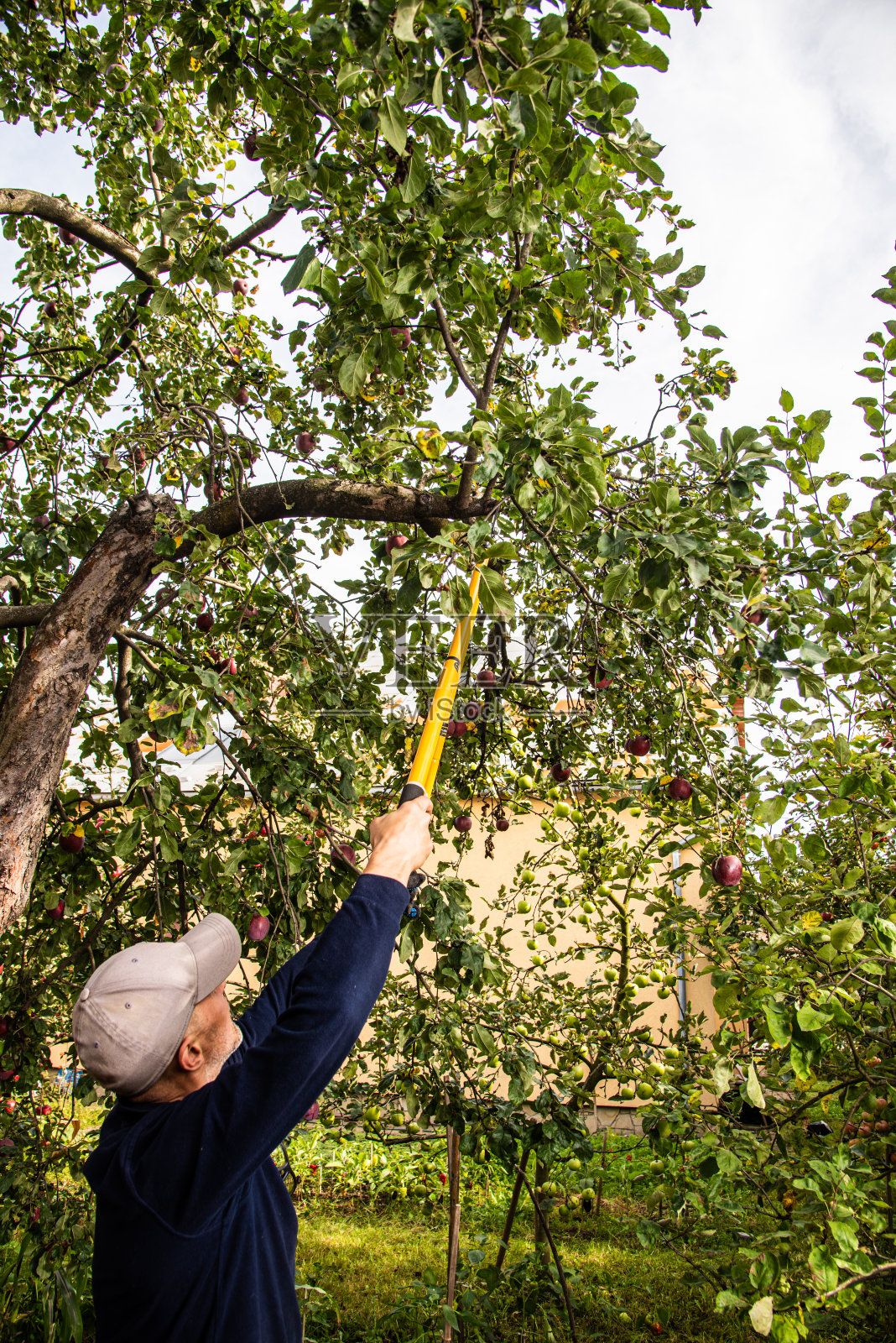 在私人农场干活的中年男子照片摄影图片