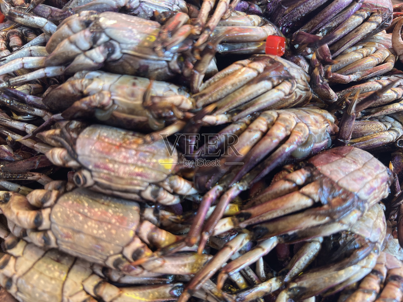 街市上的一堆腌蟹或腌蟹。照片摄影图片