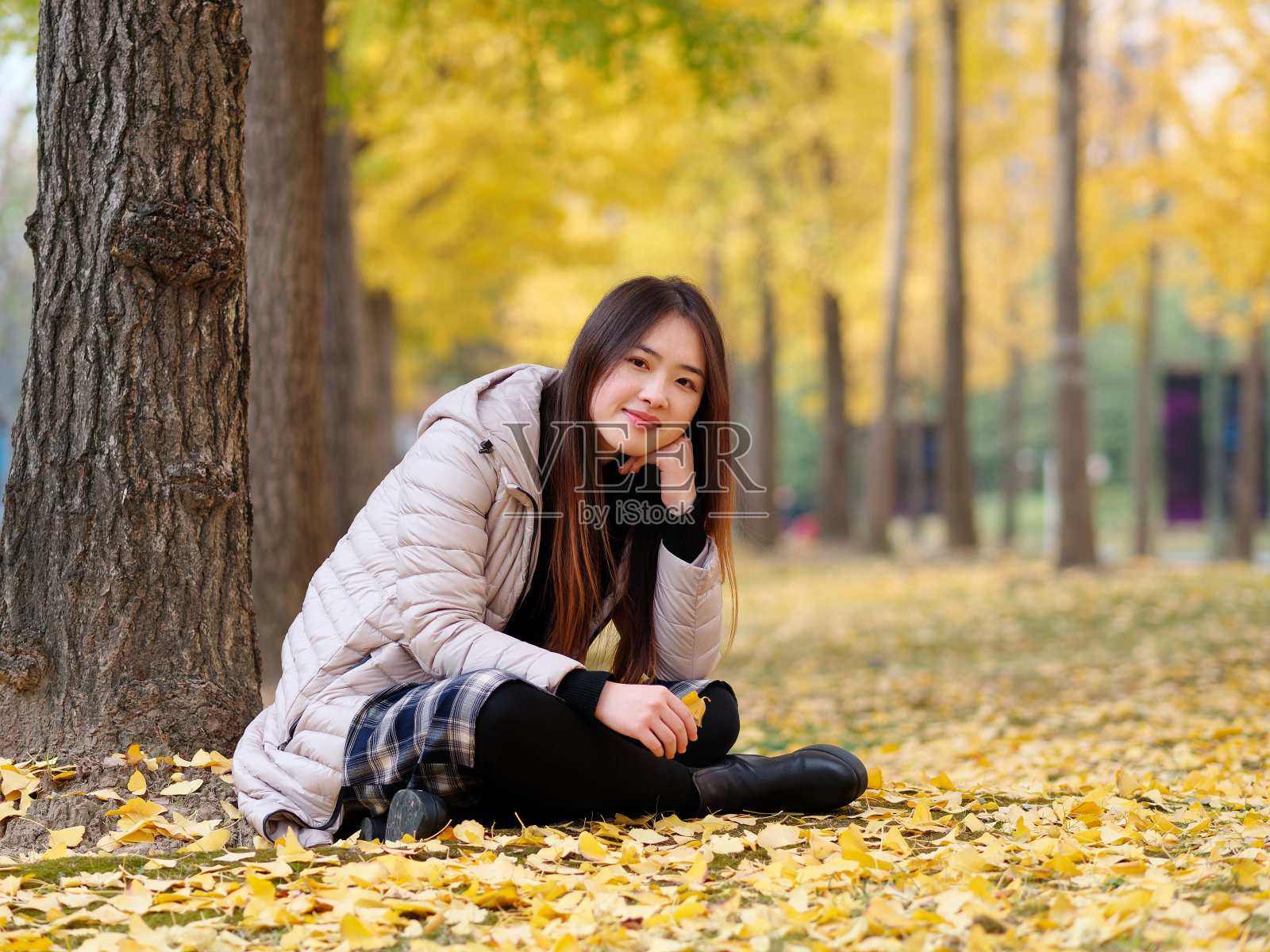 在阳光明媚的日子里,穿着长款羽绒服的中国女孩在森林公园享受无忧无虑的时光。冬季户外时尚肖像魅力年轻的中国女士美丽时髦的女人,女性的生活方式。照片摄影图片