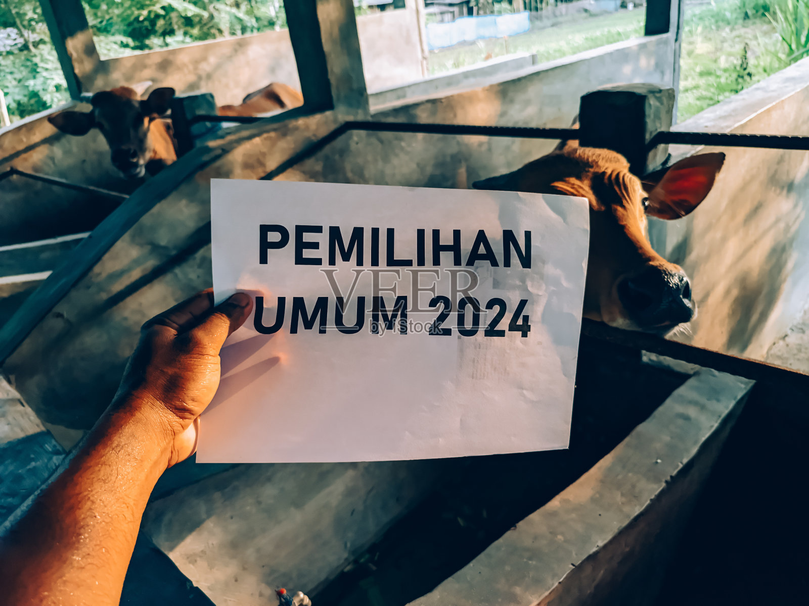 印度尼西亚2024年选举日概念照片摄影图片