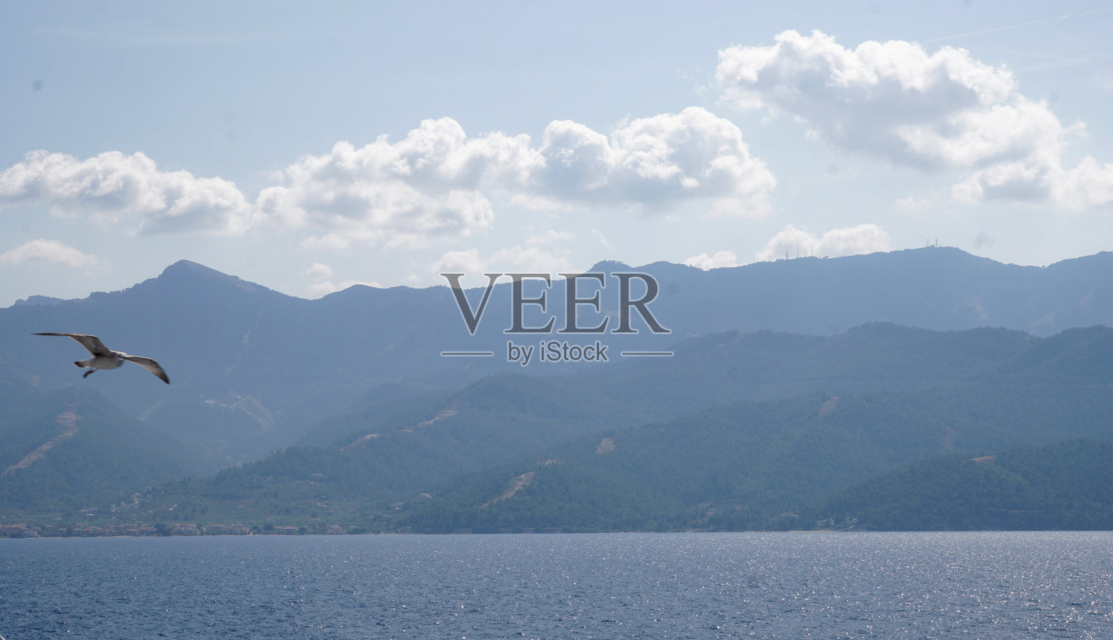 海鸥在群山背景下的天空中飞翔。照片摄影图片