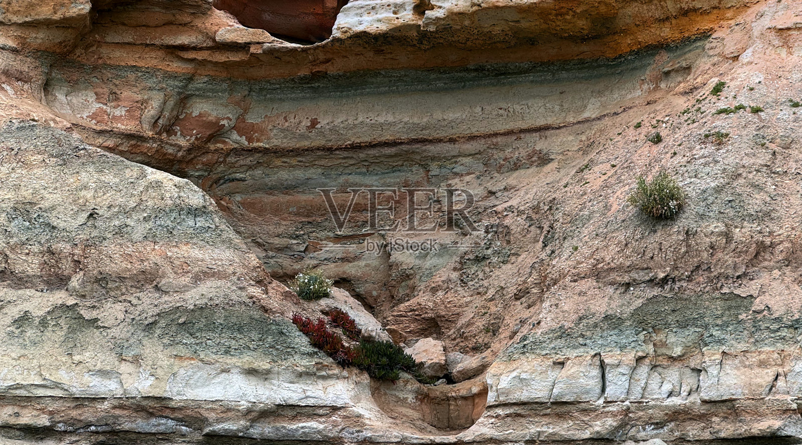 大心脏墙托里松州保护区南海滩照片摄影图片