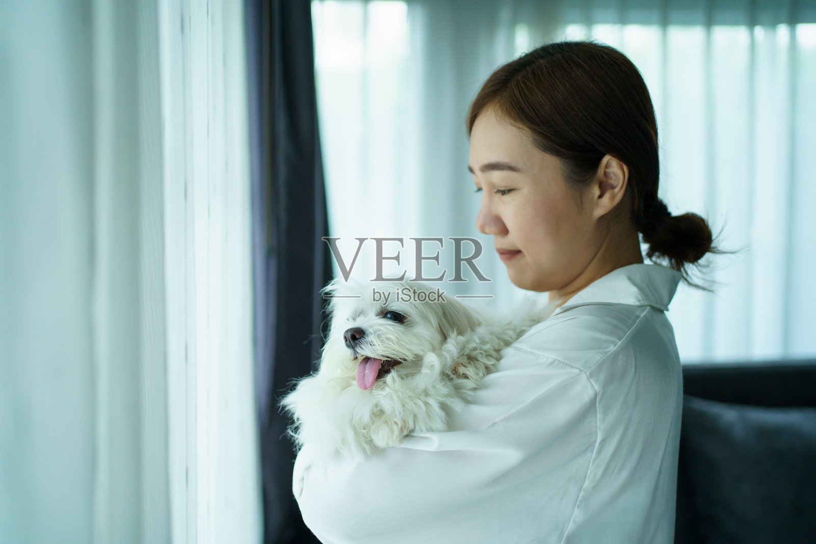 人和宠物生活在一起。照片摄影图片