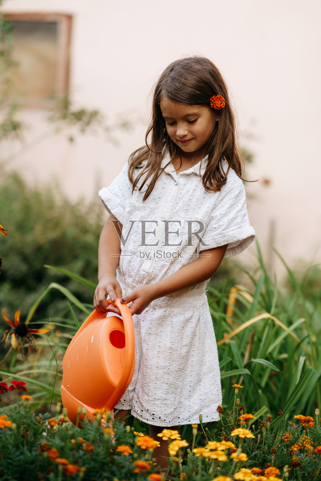 女孩在花园里给植物浇水照片摄影图片