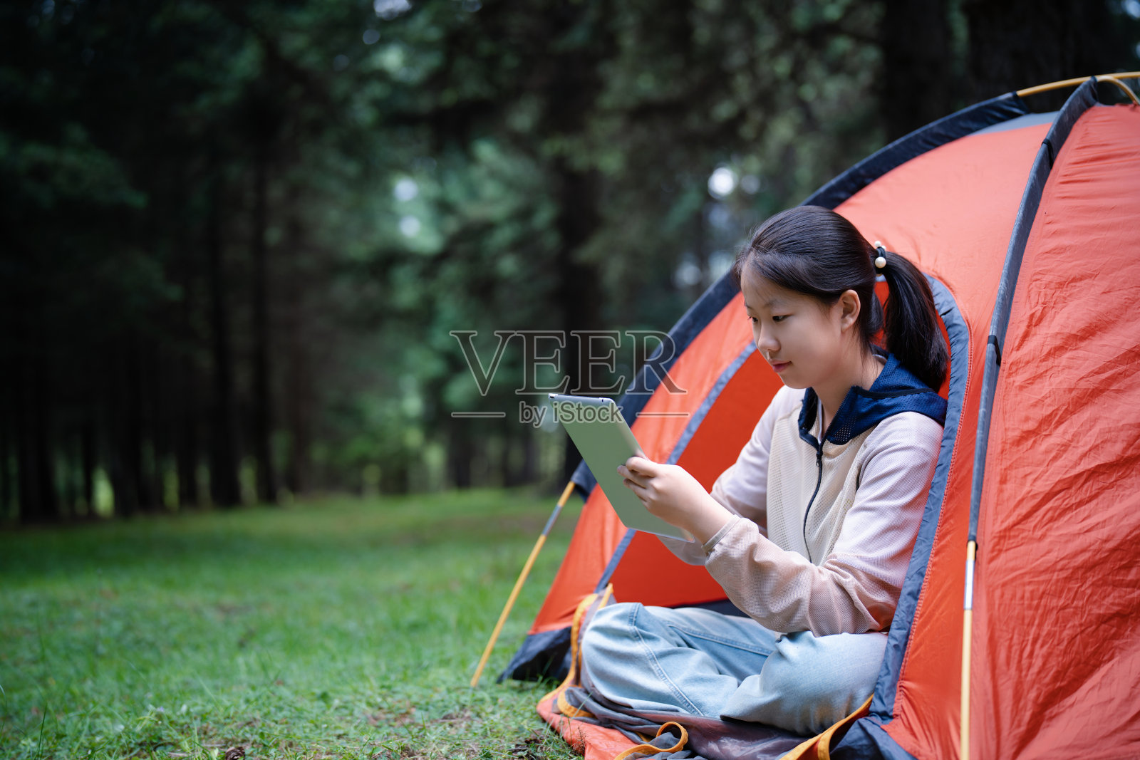 亚洲初中生坐在帐篷里,在森林里使用数码平板电脑照片摄影图片