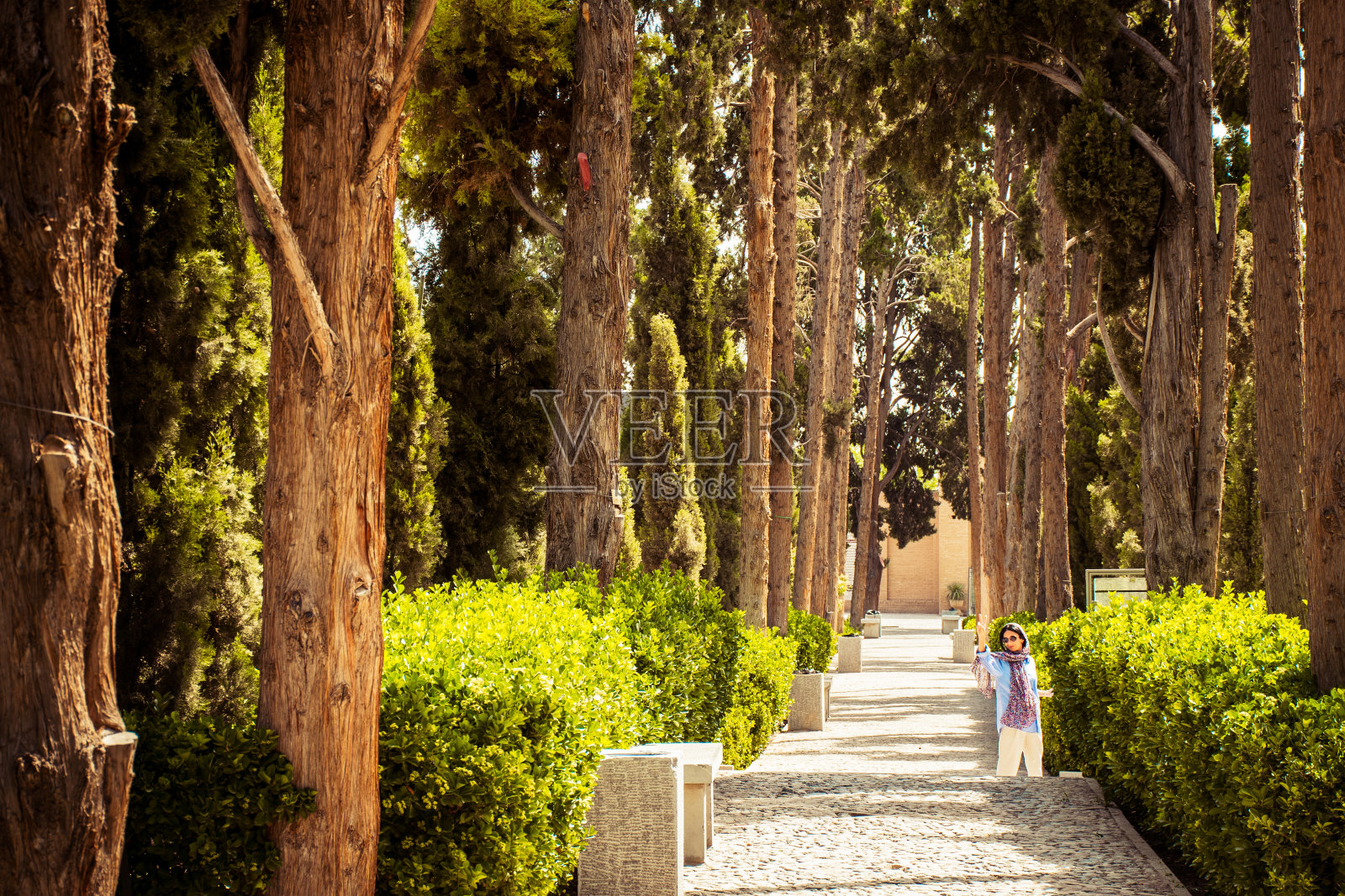 伊朗卡尚——2022年5月27日:伊朗卡尚的传统波斯Fin花园照片摄影图片