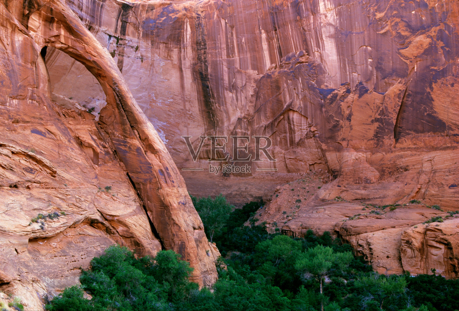 土狼峡谷的绿洲和拱门照片摄影图片