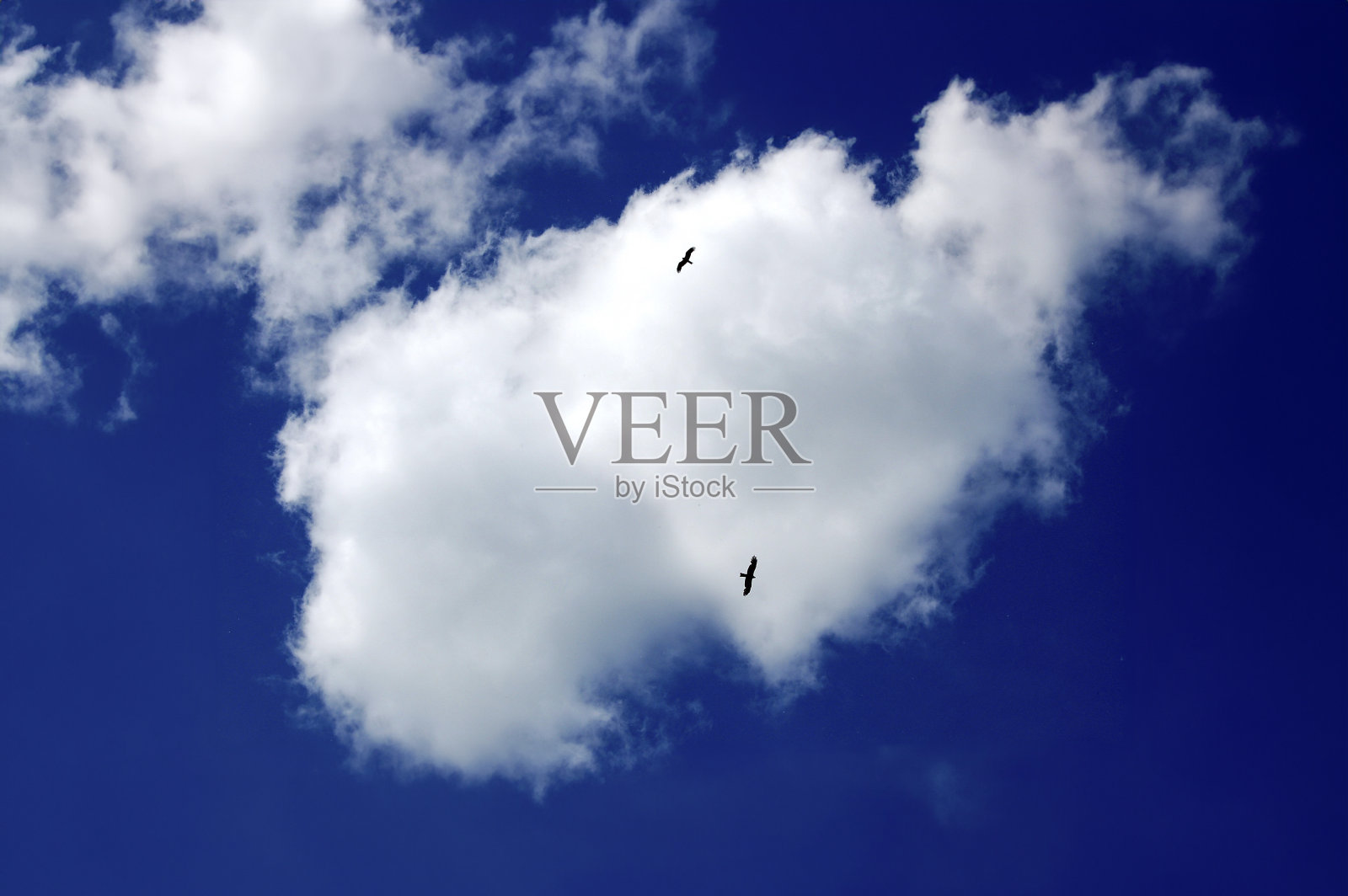 蓝天上的白云和小鸟照片摄影图片