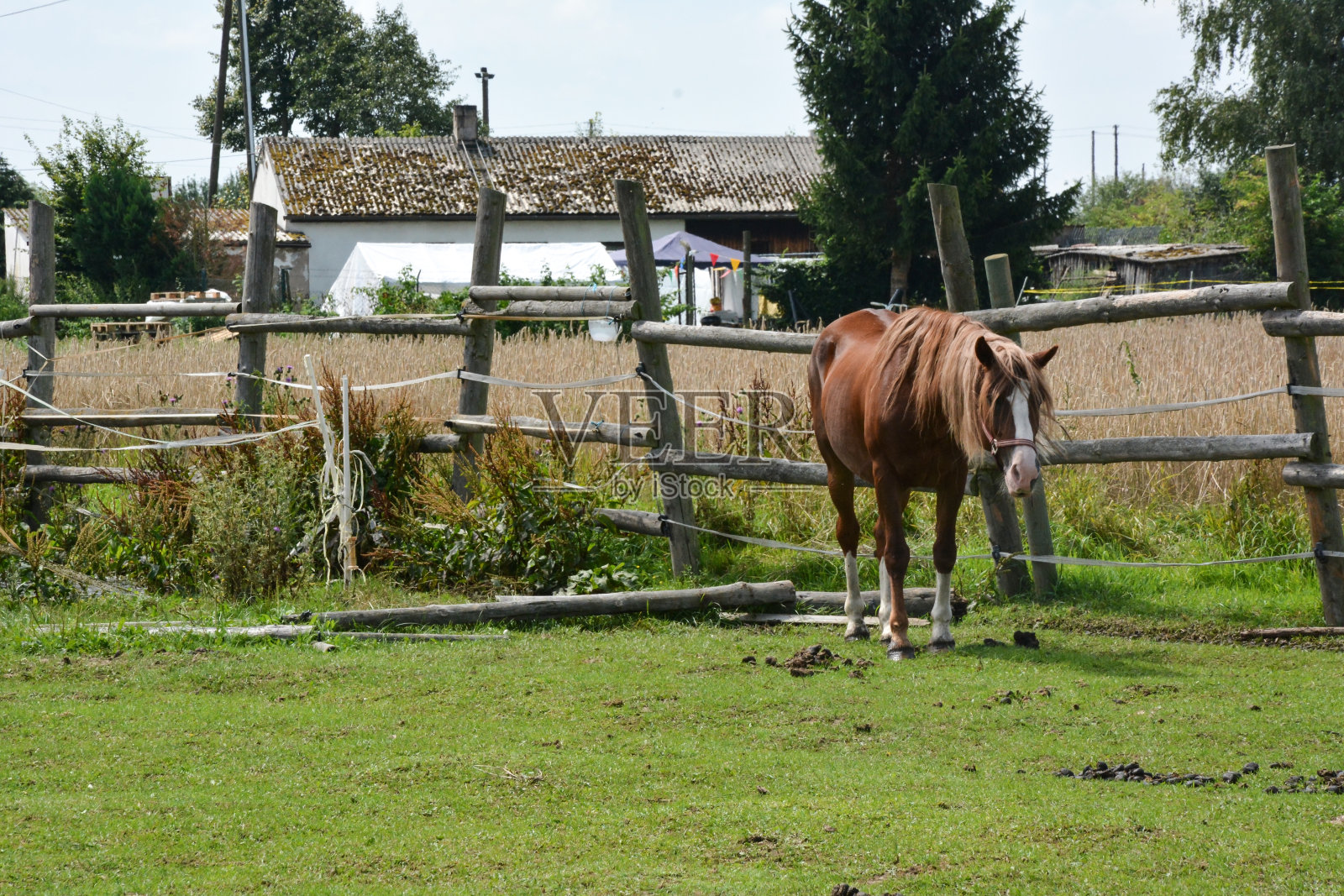 一匹孤独的马站在牧场围栏附近的围场上,背景是农场建筑照片摄影图片